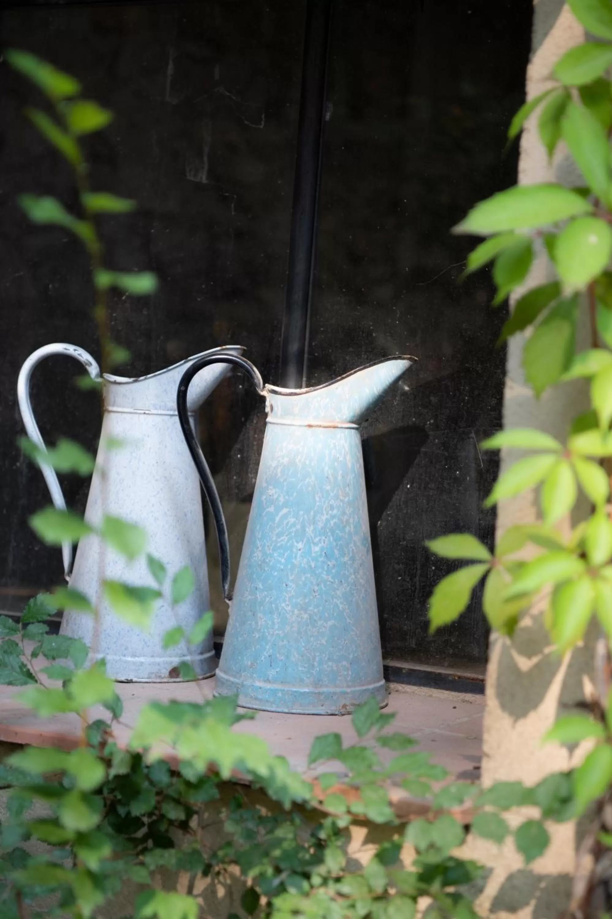 Garden in Maison Sumiane