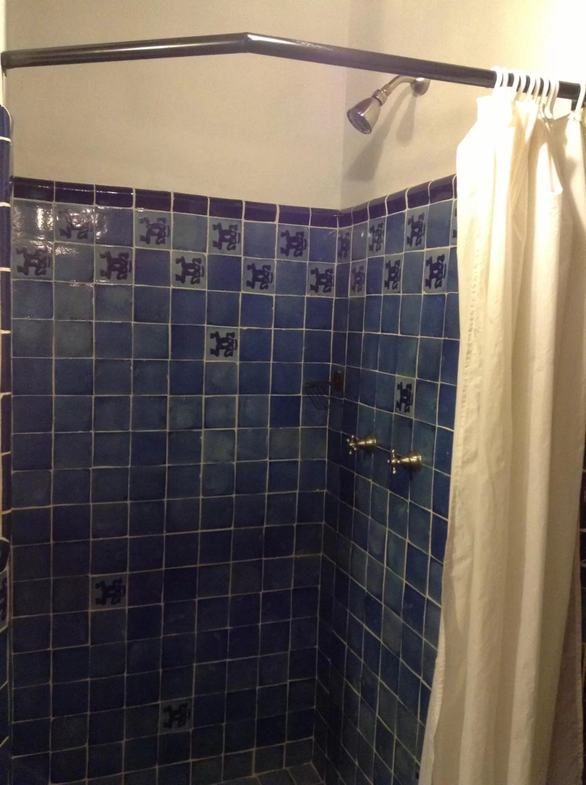 Shower in Posada Yolihuani