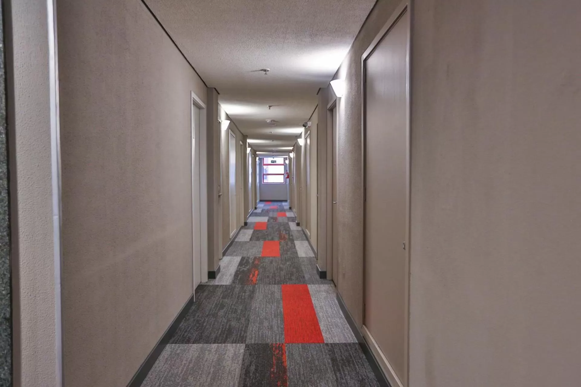 Other in Ibis Maringa