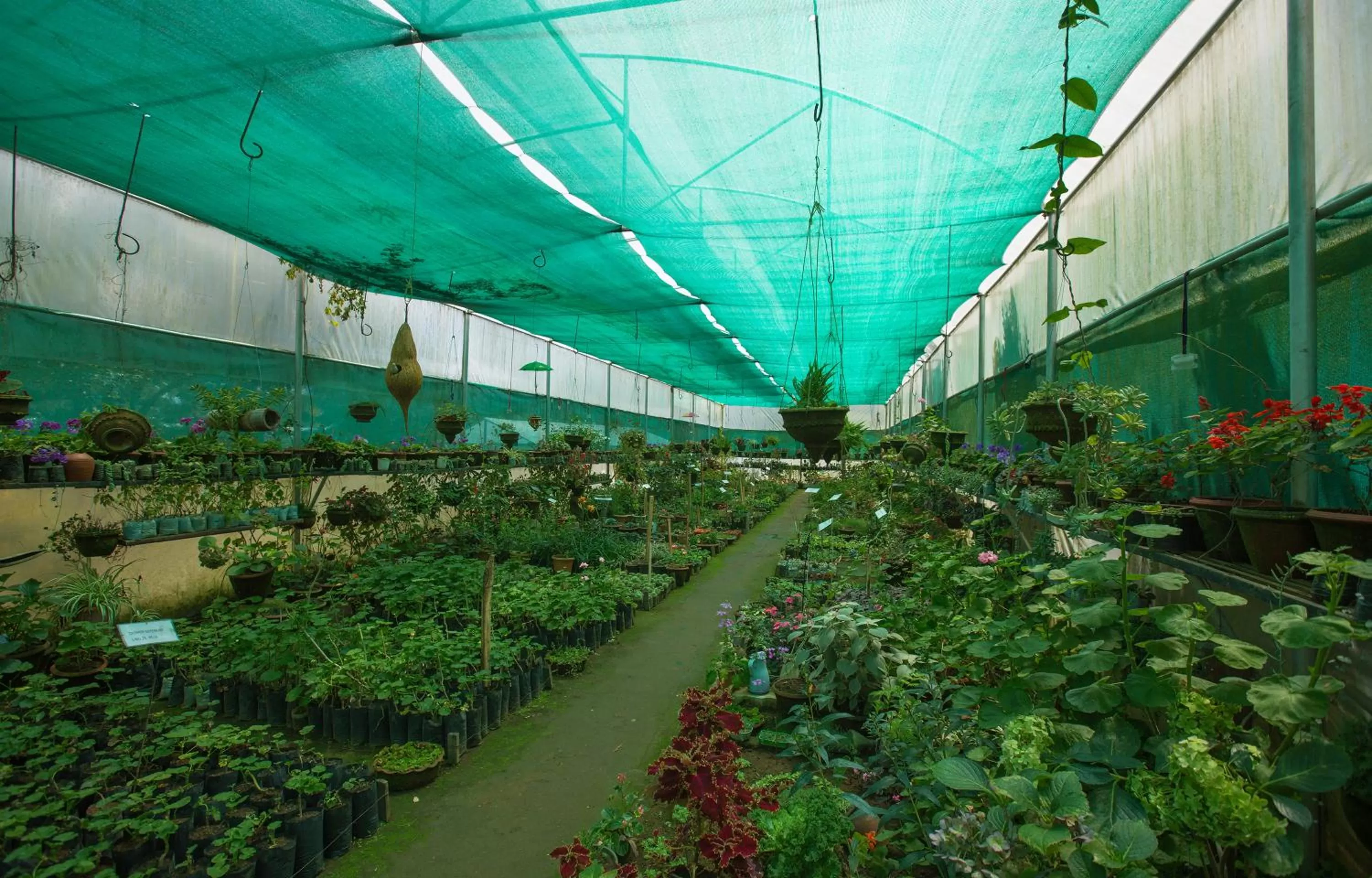 On-site shops in Pine Borough Inn