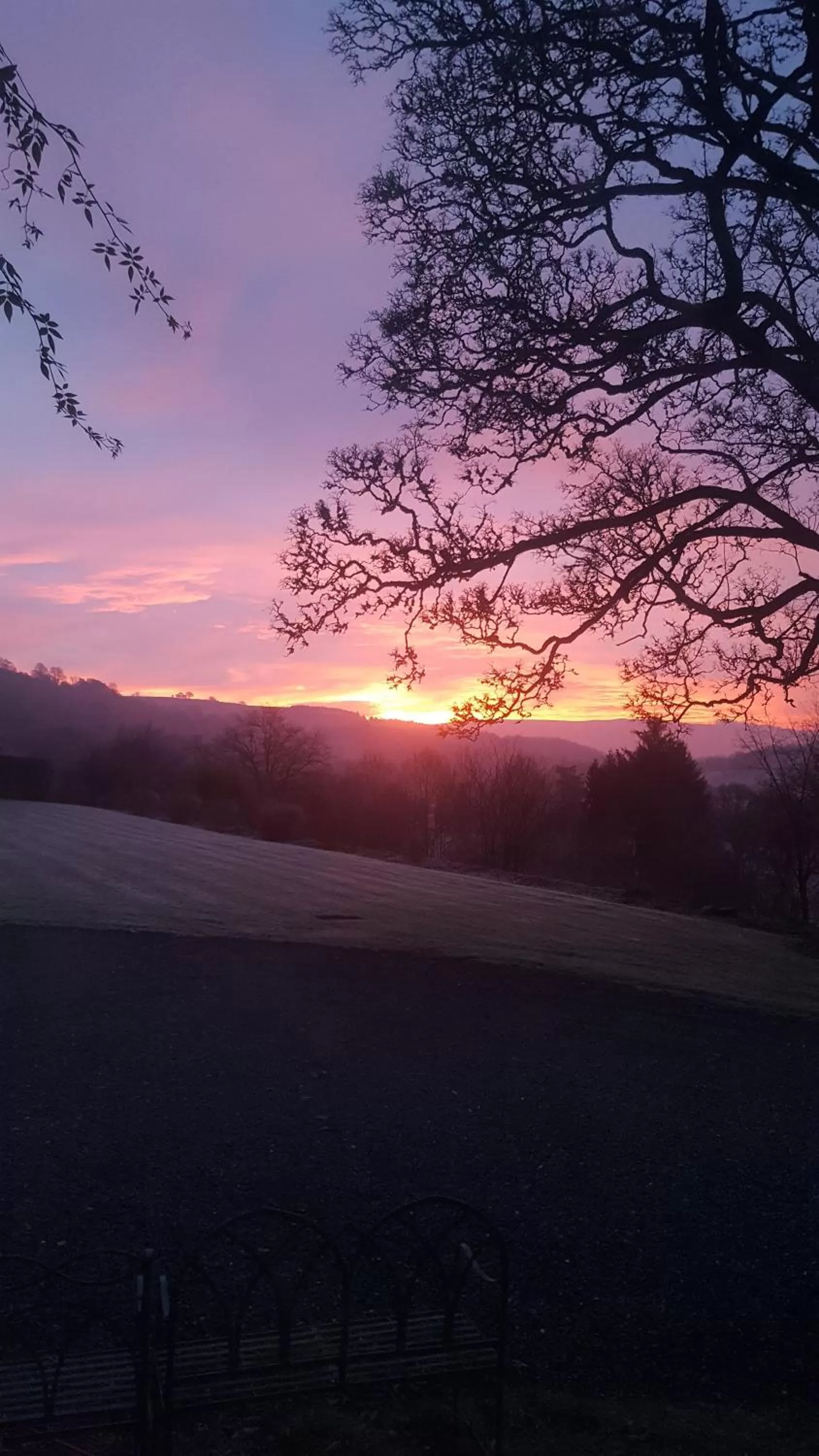 Property building in The Skreen