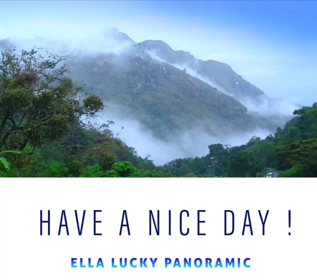 Ella Lucky Panoramic