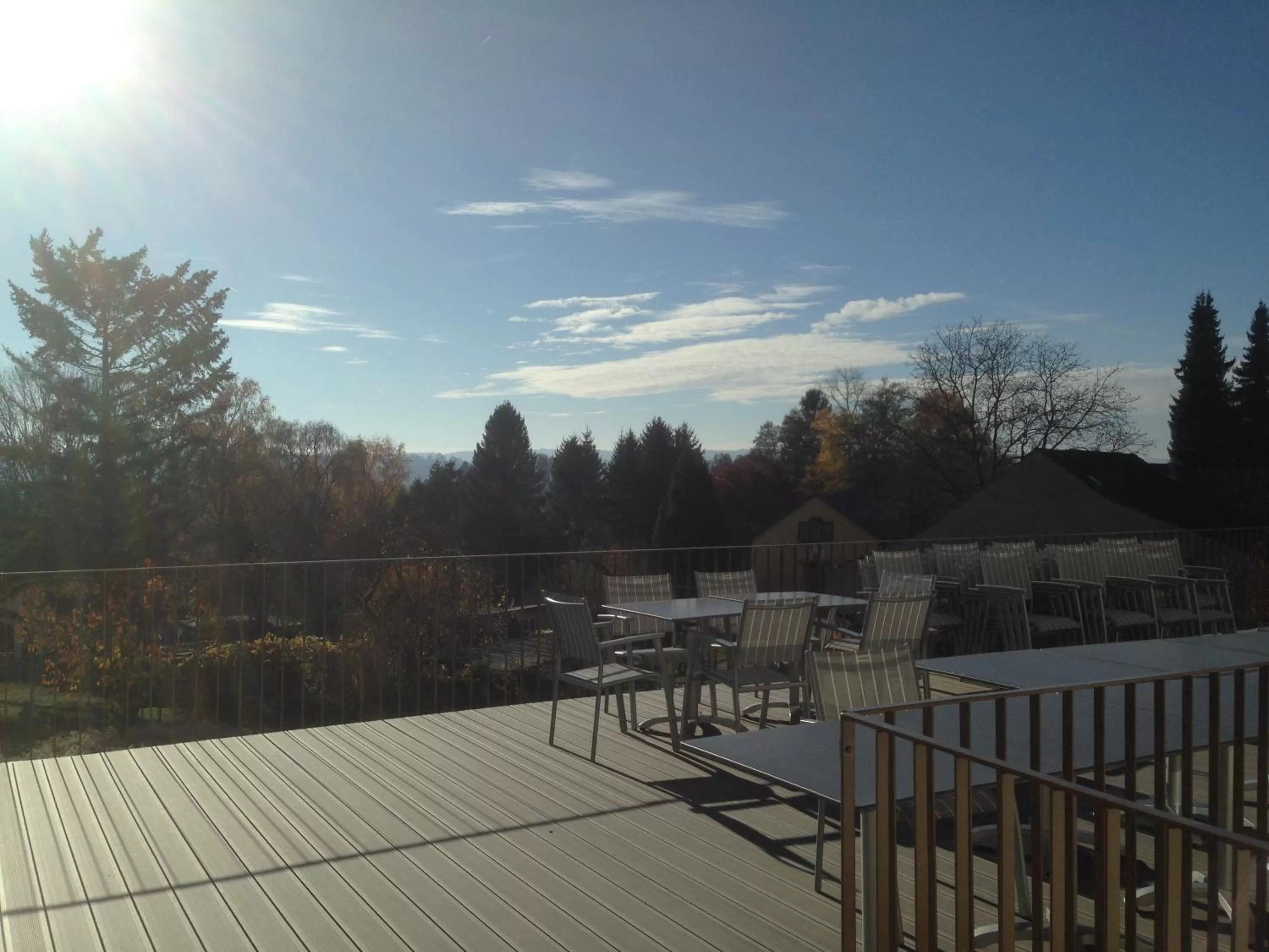 Balcony/Terrace in Hotel Rheingold