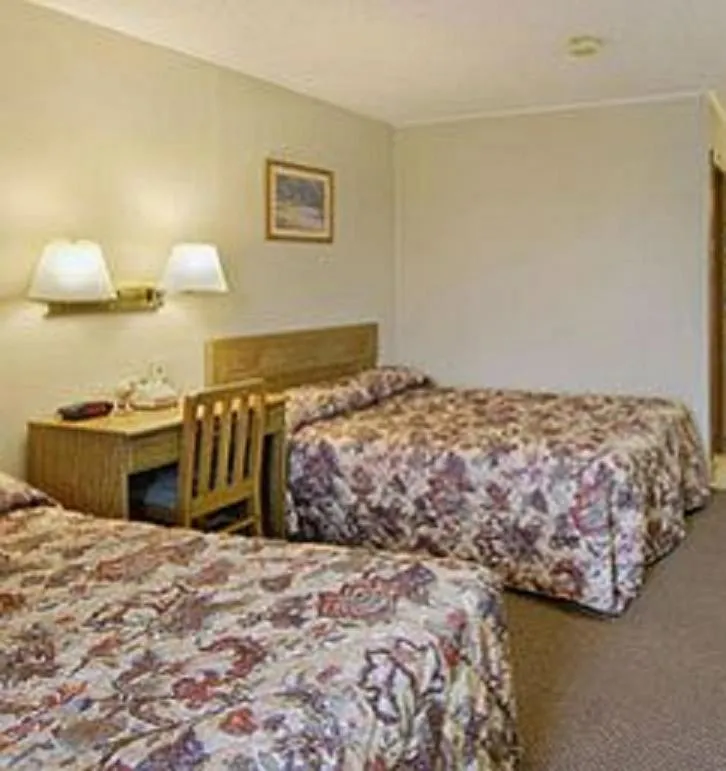 Bed in Super 8 by Wyndham Lubbock Civic Center North
