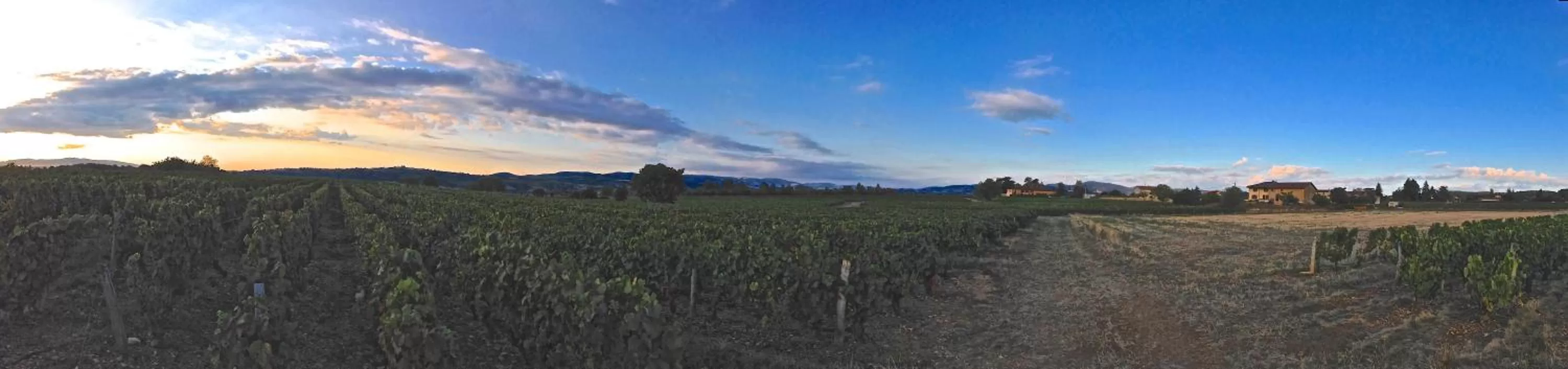 Natural landscape in Le Clos du Cher en Beaujolais