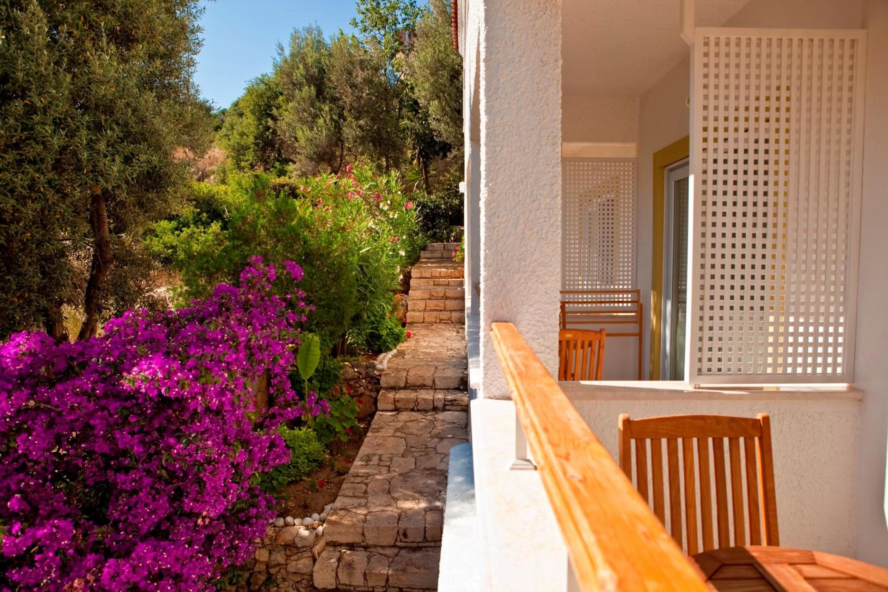 Garden in Olea Nova Hotel