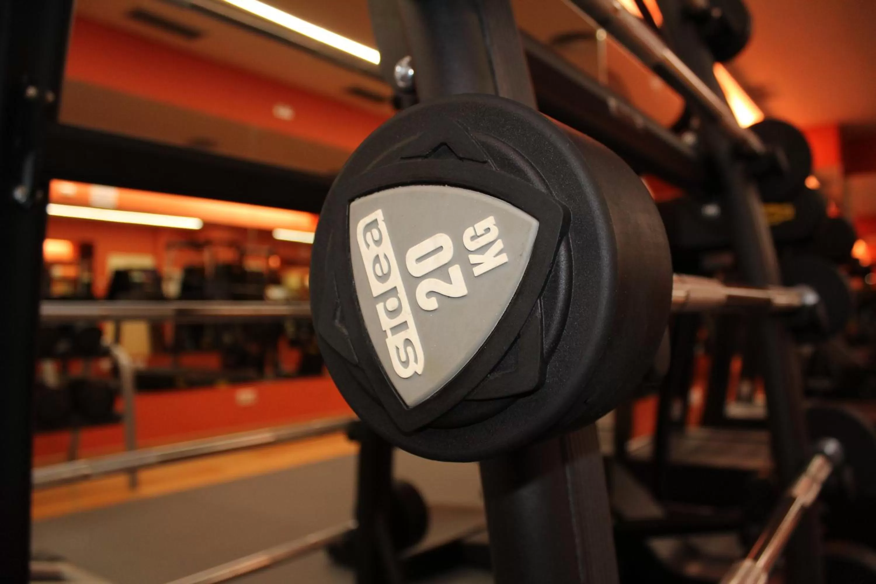 Fitness centre/facilities in Hotel Villamadrid