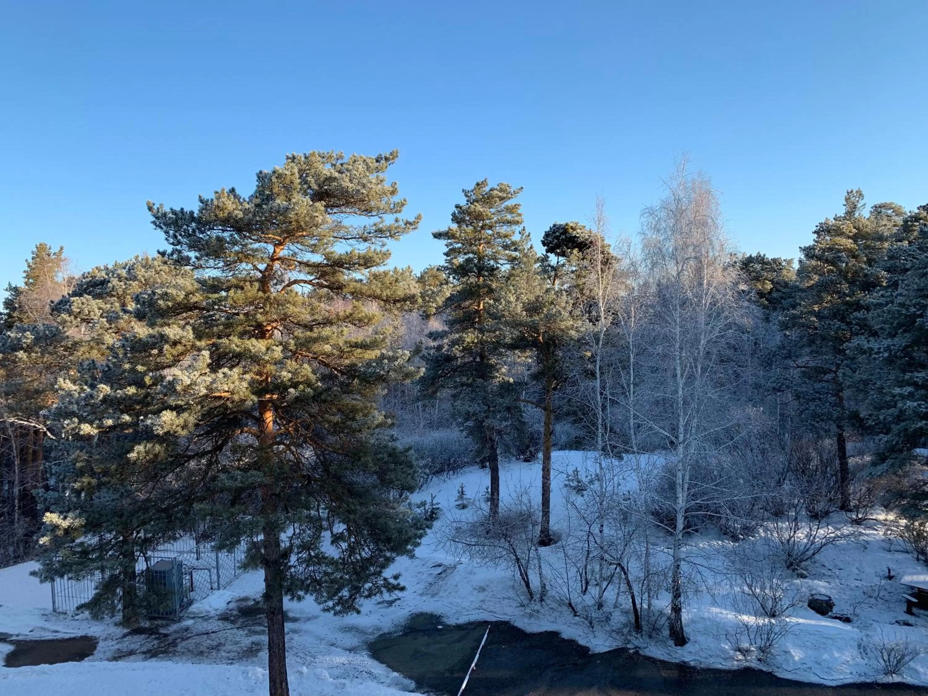 View (from property/room), Winter in Zhaylau Hotel