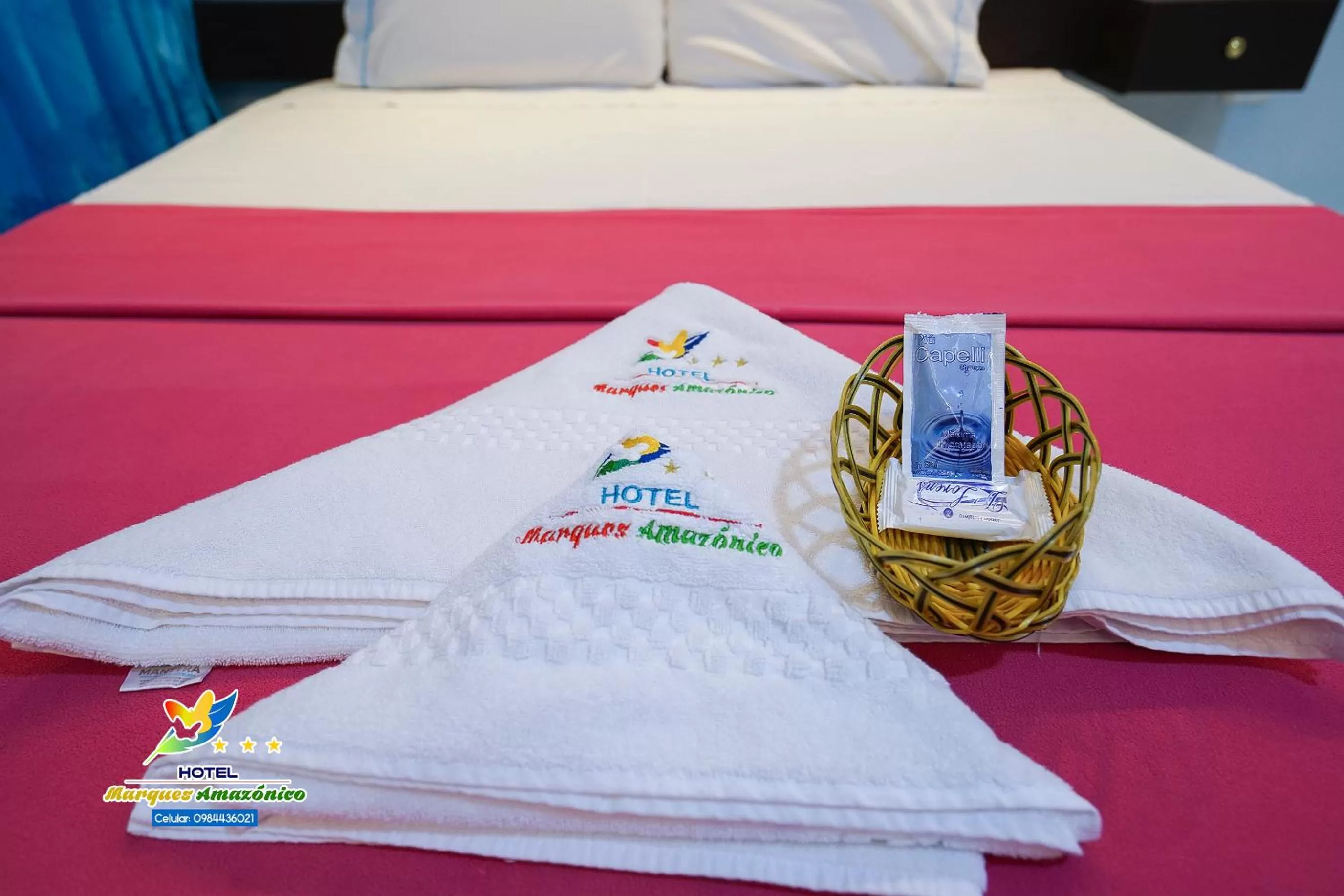 Photo of the whole room, Bed in Hotel Marques Amazonico