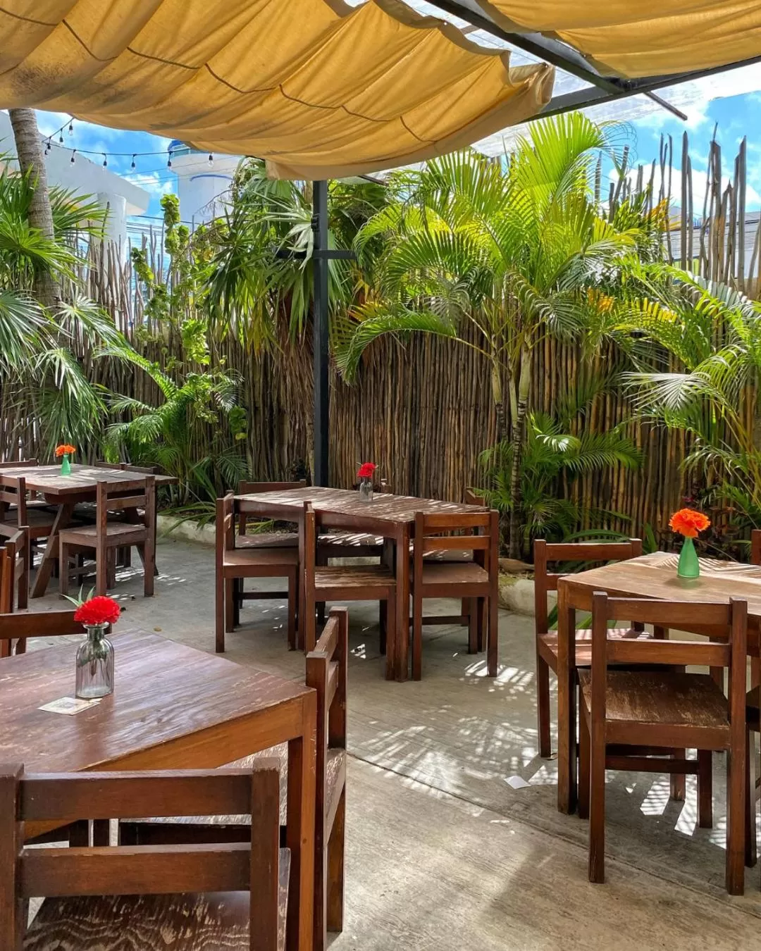 Restaurant/places to eat in Lucky Duck PJ