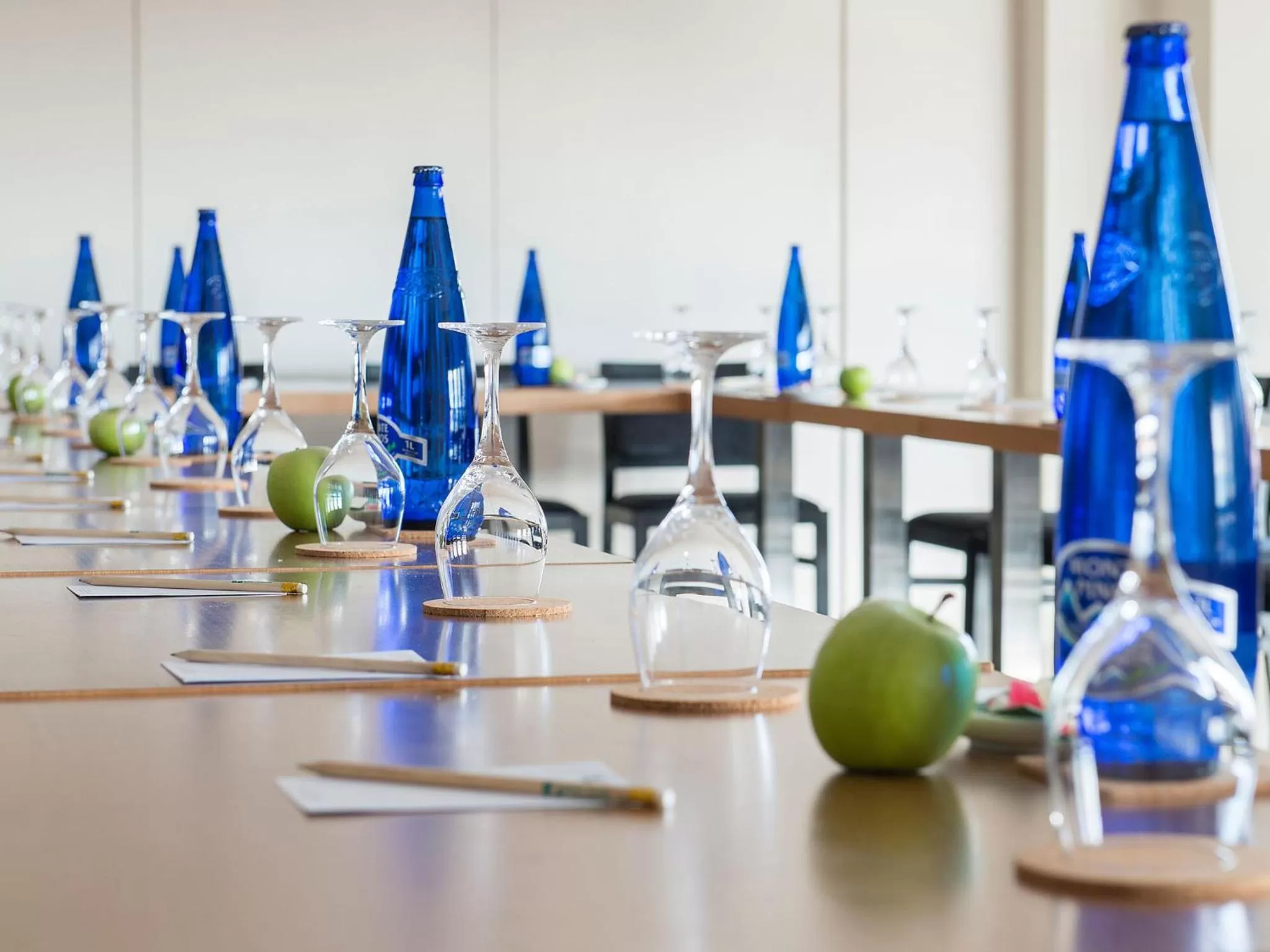 Business facilities in Hotel Plaza Las Matas