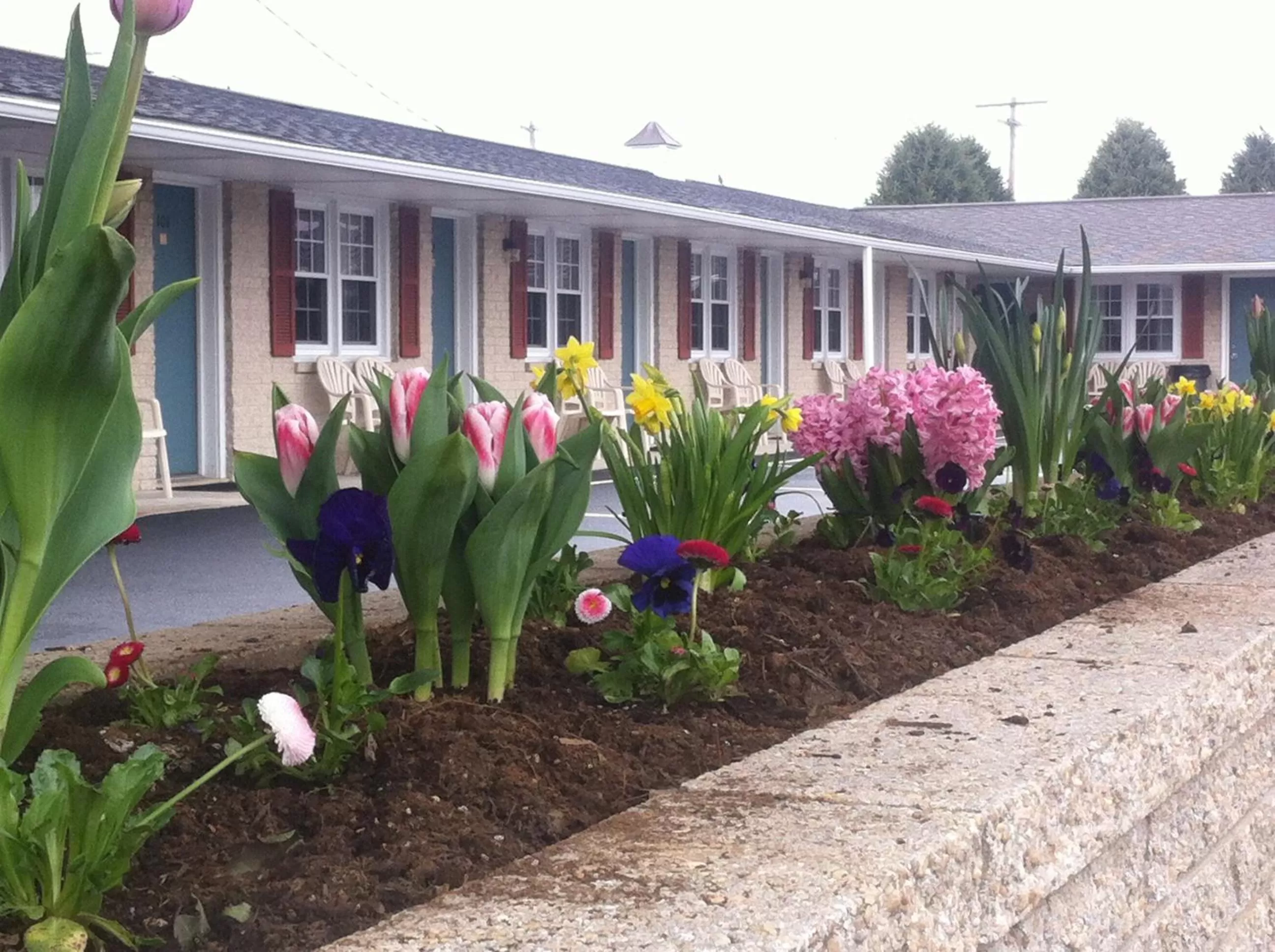 Facade/entrance in Travelers Rest Motel