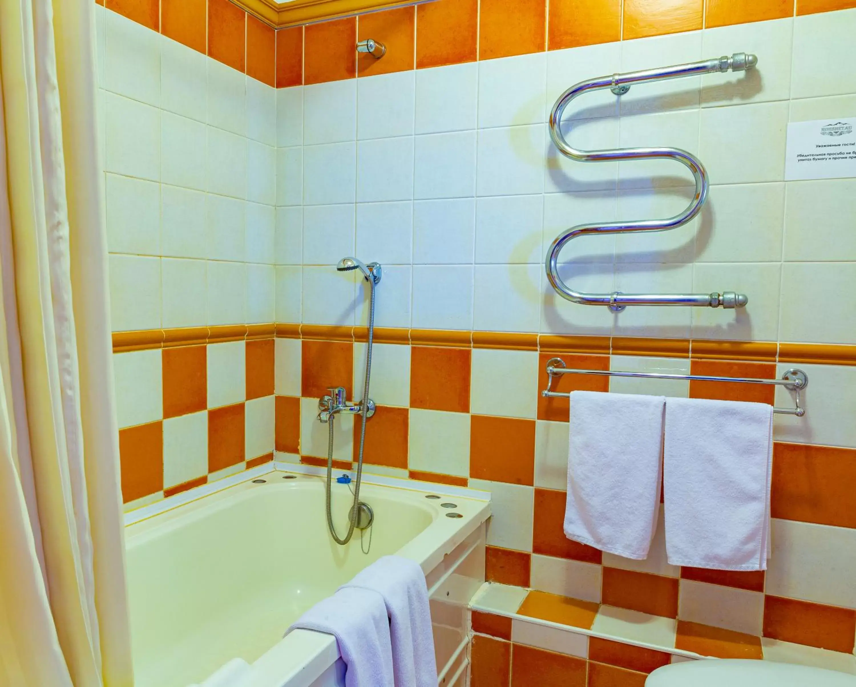 Standard Double or Twin Room in Park Hotel Kokshetau Standard Double or Twin Room in Park Hotel Kokshetau