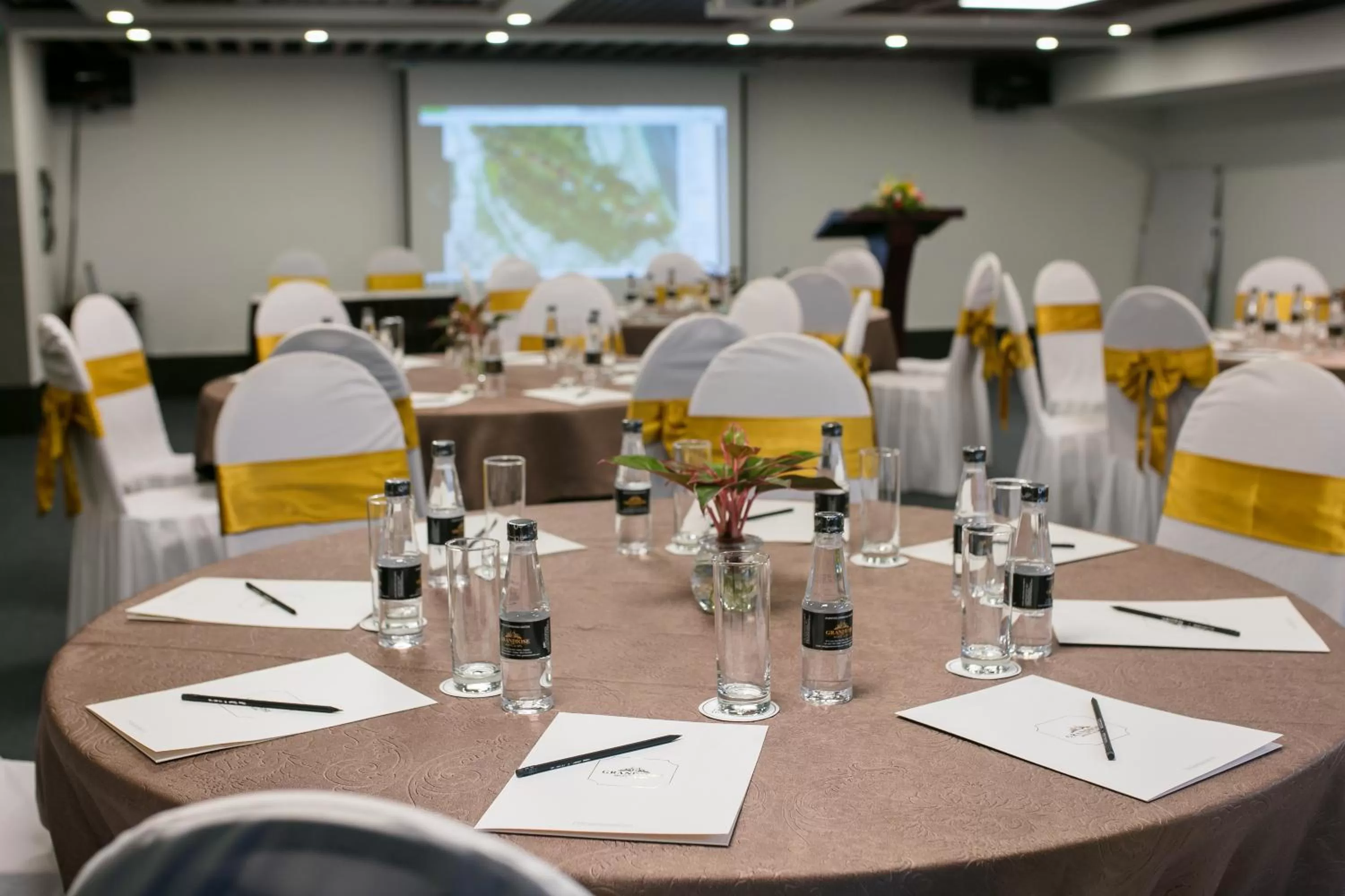 Business facilities in Grandiose Hotel & Spa