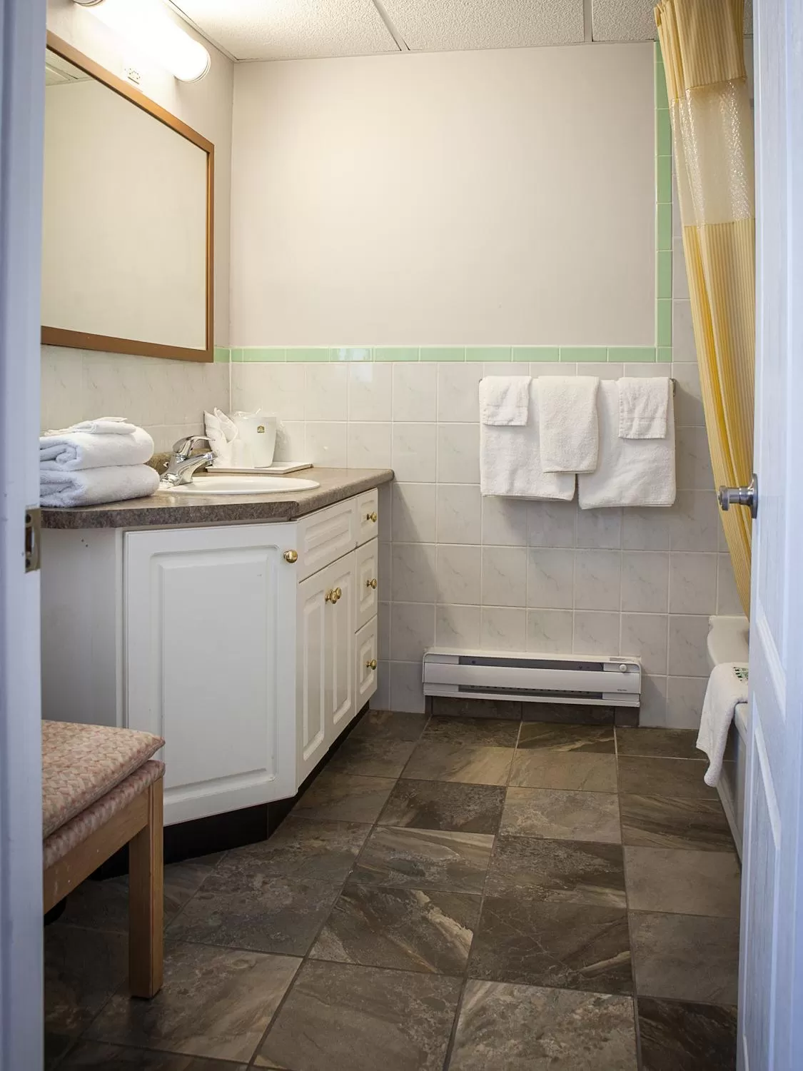 Shower in Villager Lodge Niagara Falls