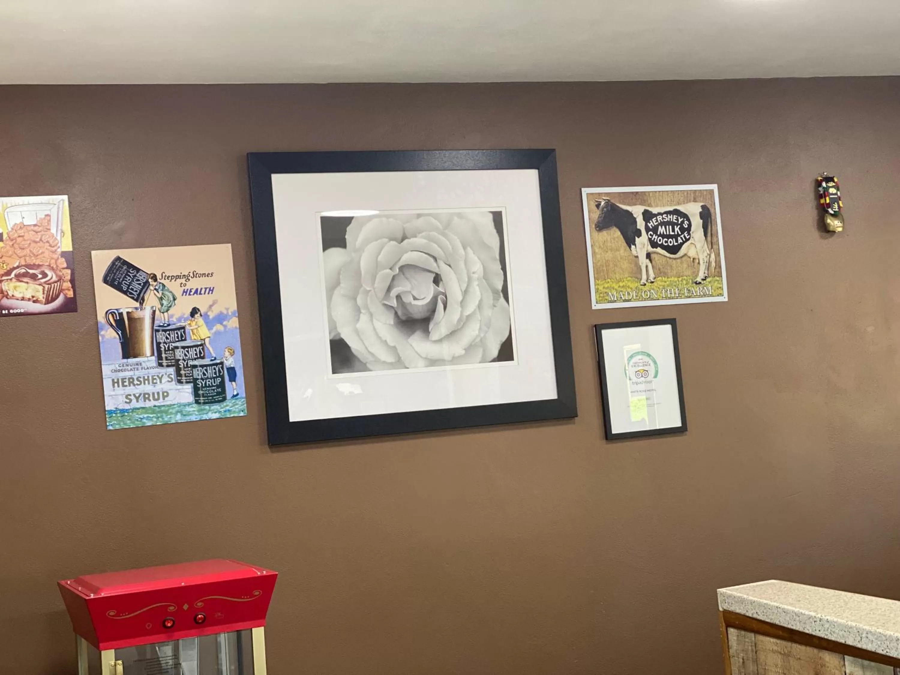 Lobby or reception in White Rose Motel - Hershey