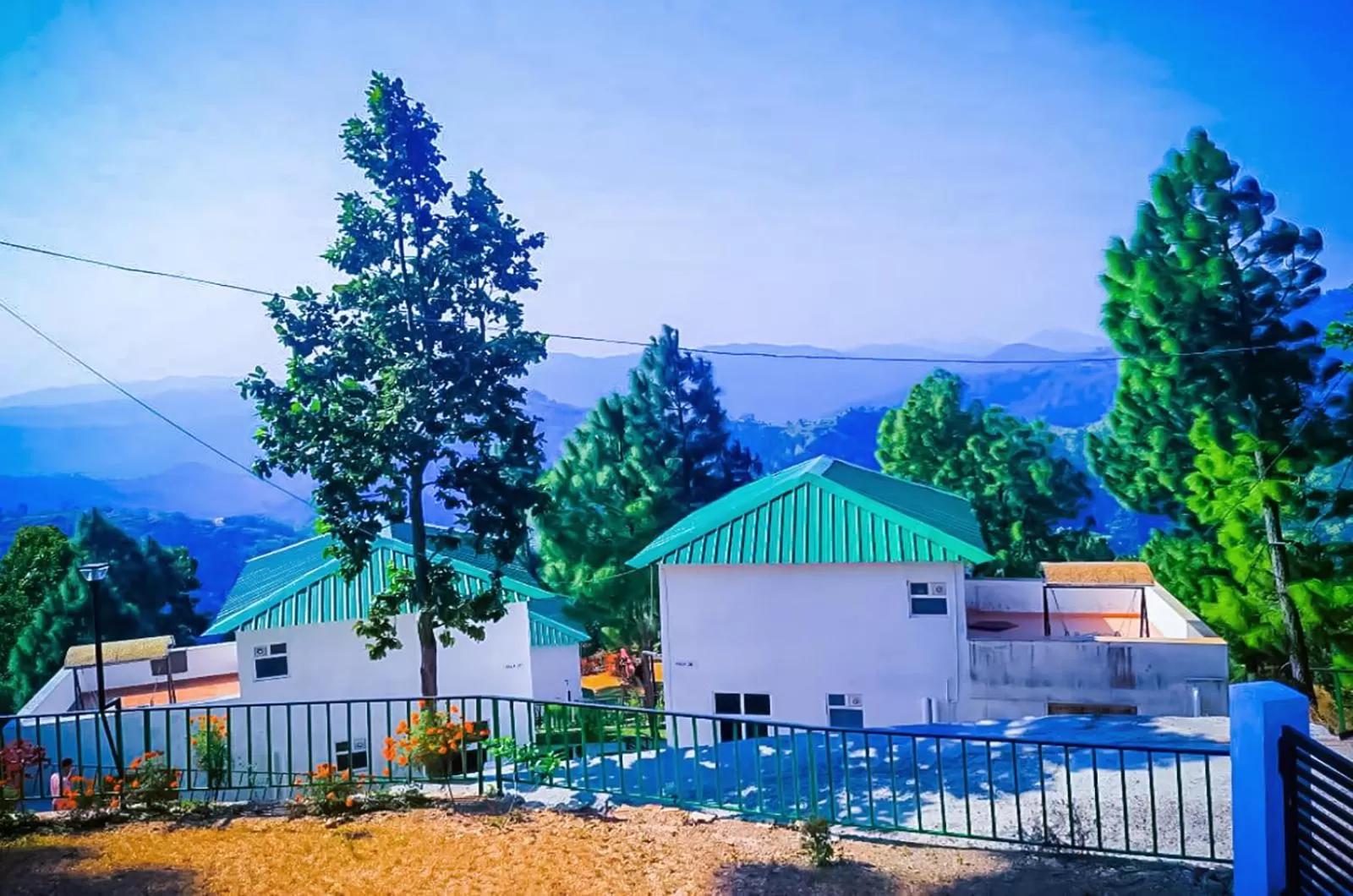 Property building in Blue Pine Orchards