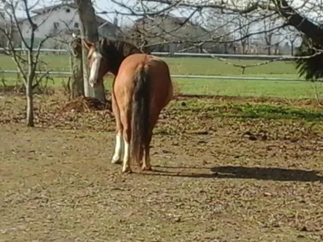 Property building in B&B CM Ranch
