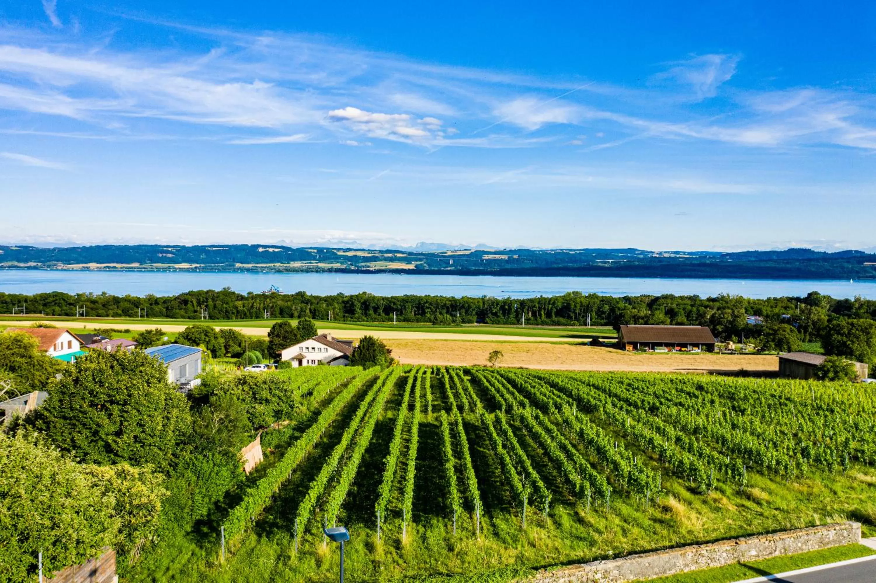 Natural landscape in Hôtel Restaurant Bellevue