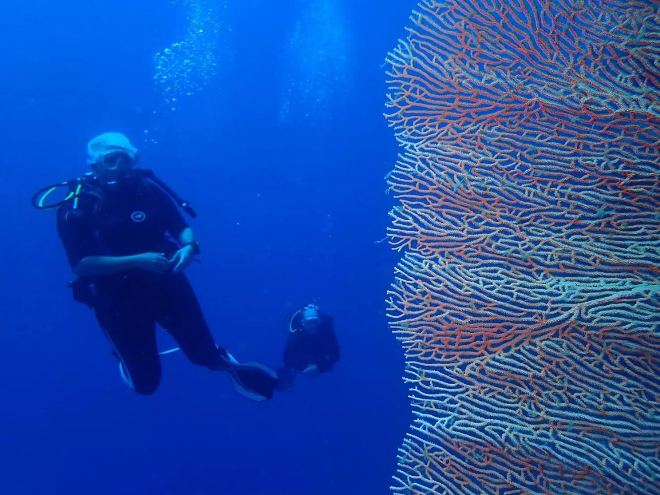 Diving in NusaBay Menjangan