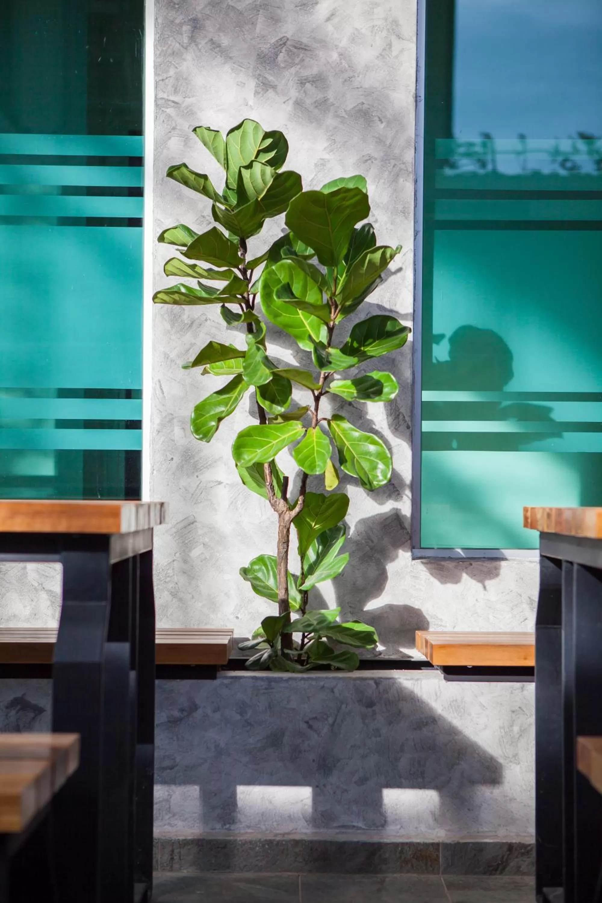 Balcony/Terrace in Bzz Hotel Skudai