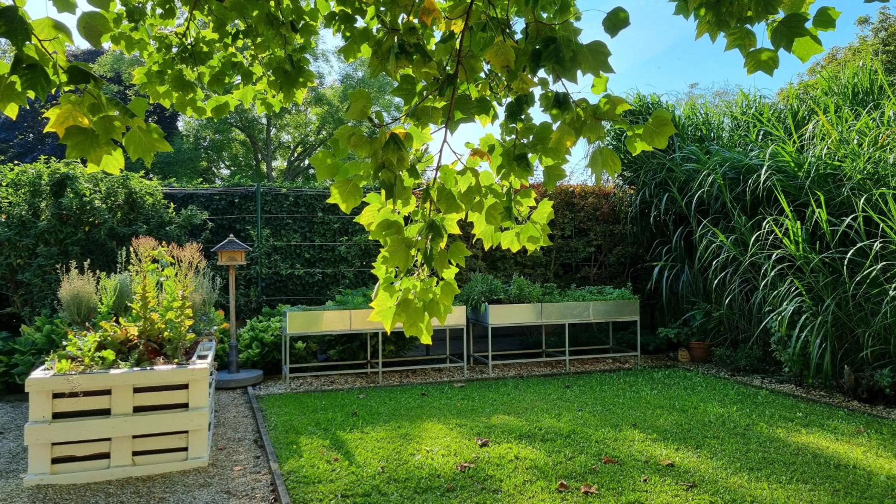 Garden in BIRKENHOF GOLS - B & B - Wohlfühl Hotel mit Wochenend-Restaurant