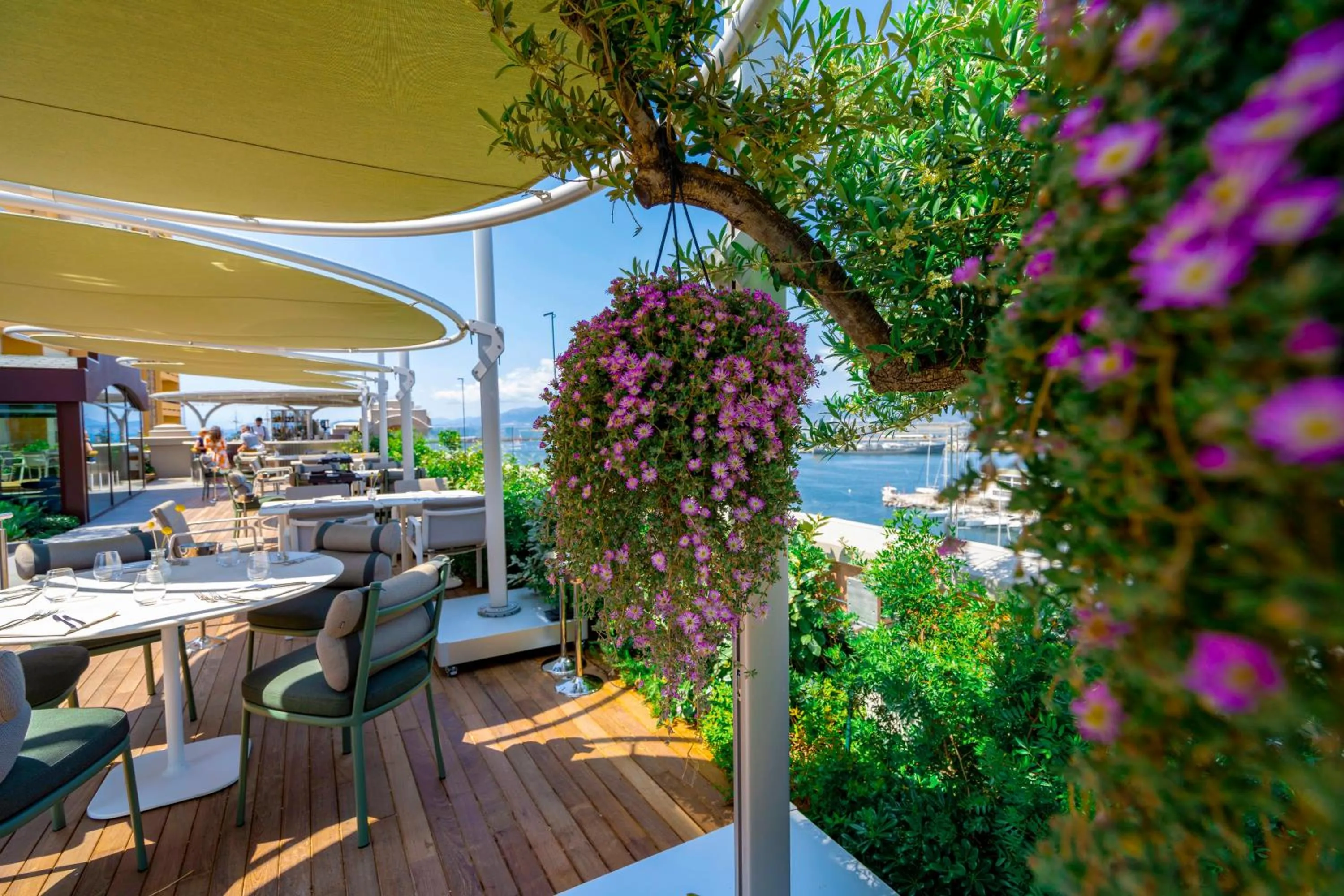 Restaurant/places to eat in Palazzo Tirso MGallery Cagliari