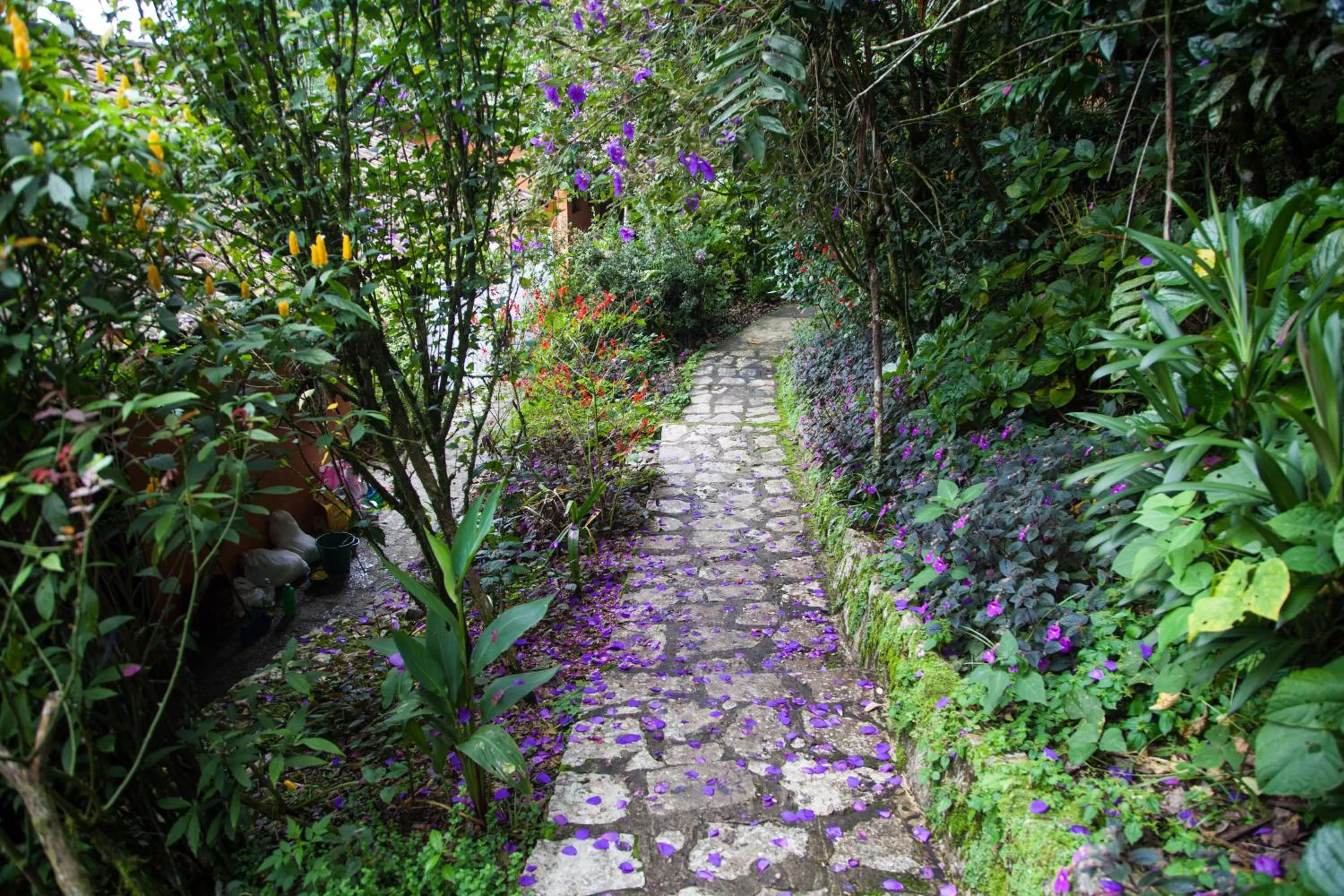 Garden in Hotel Taselotzin