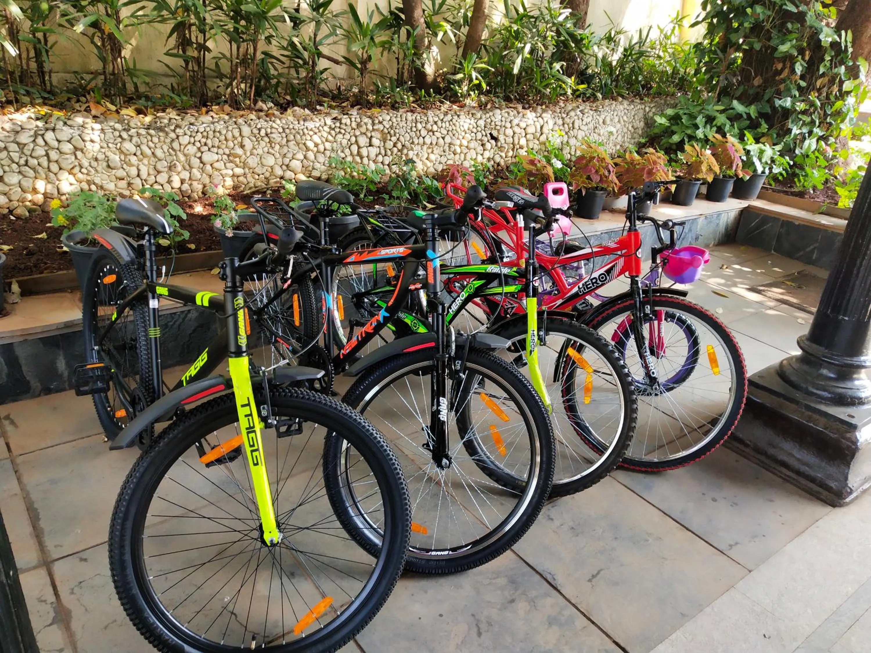 Sports, Other Activities in Regenta MPG Club Mahabaleshwar