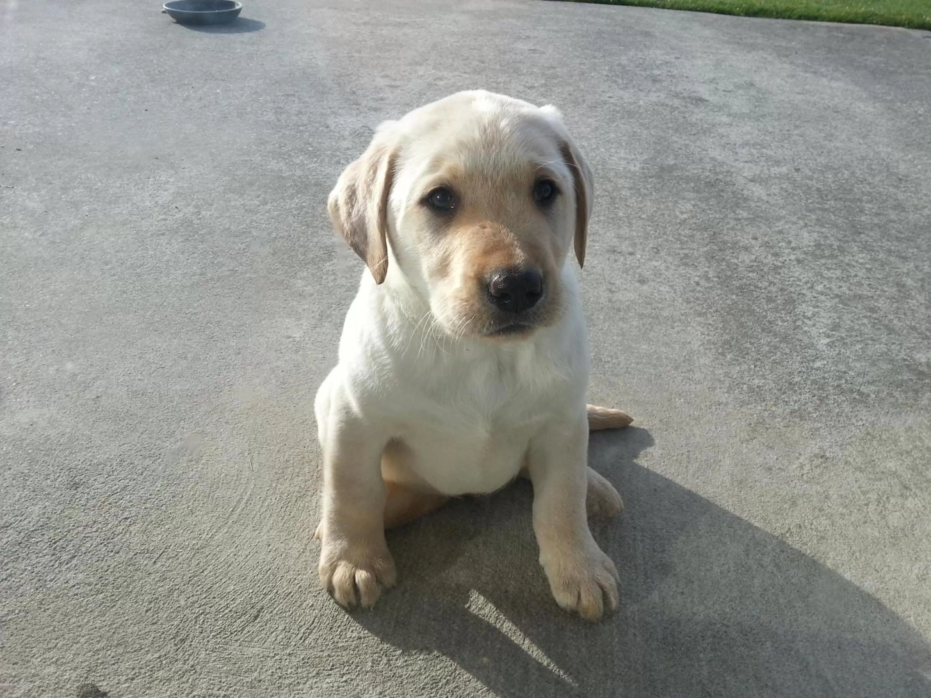 Hokonui Bed & Breakfast