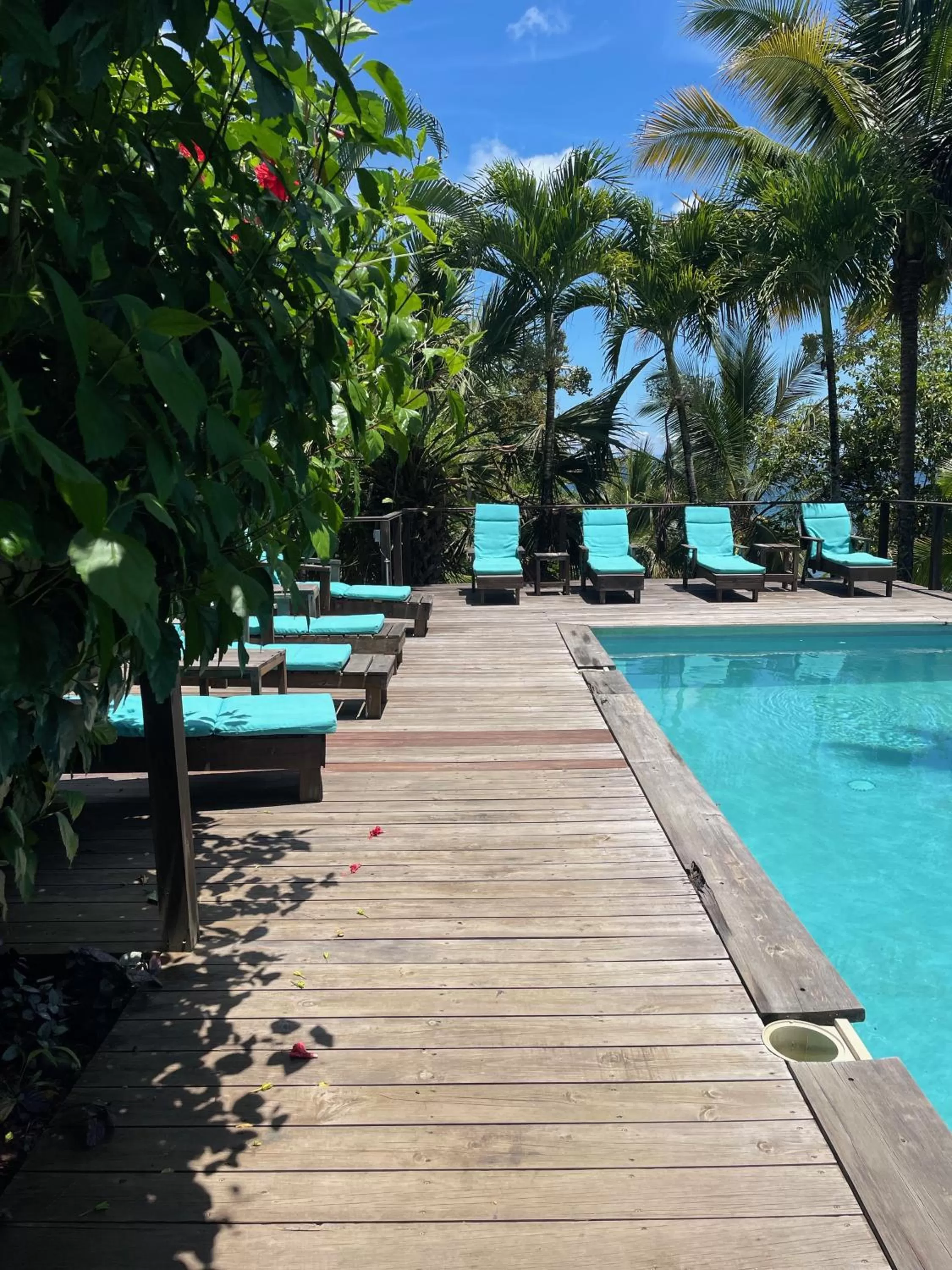 Swimming Pool in Bird Island Bungalows
