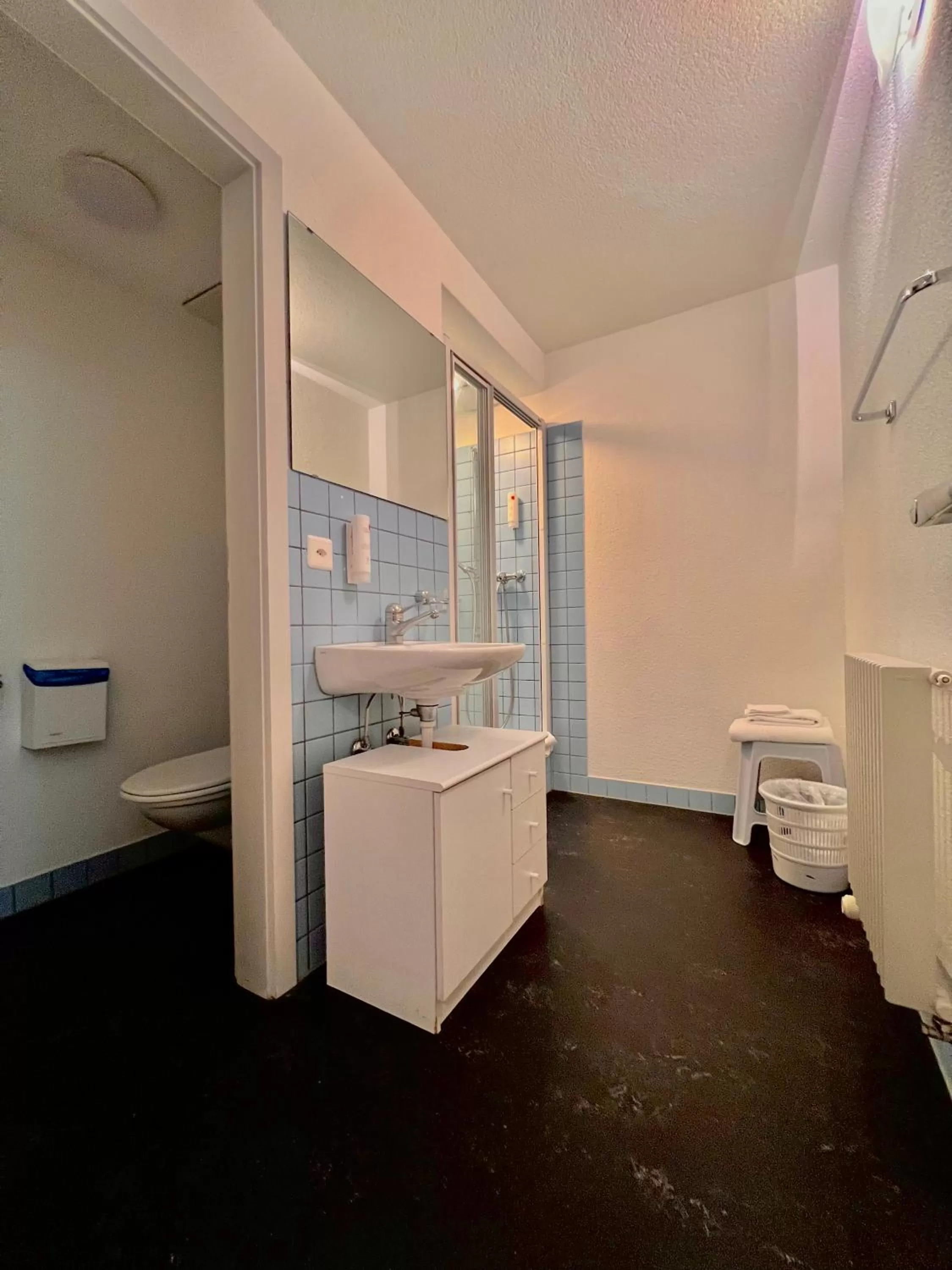 Hotel Hirschen Hinwil