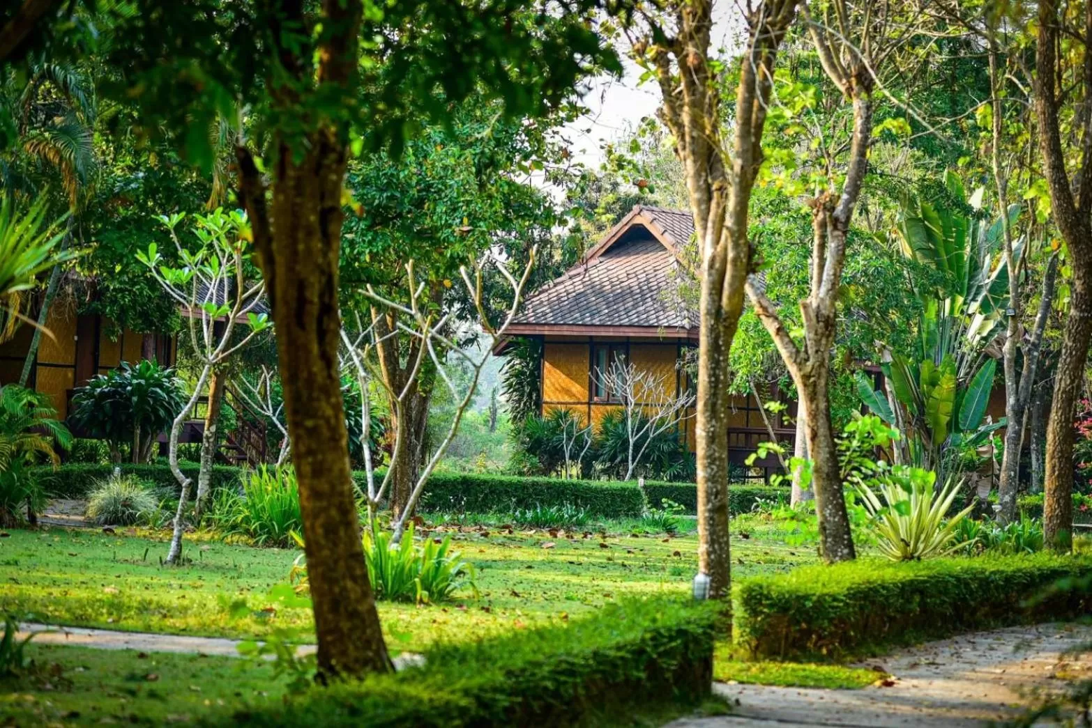 Natural landscape in Baan Krating Pai Resort - SHA Plus