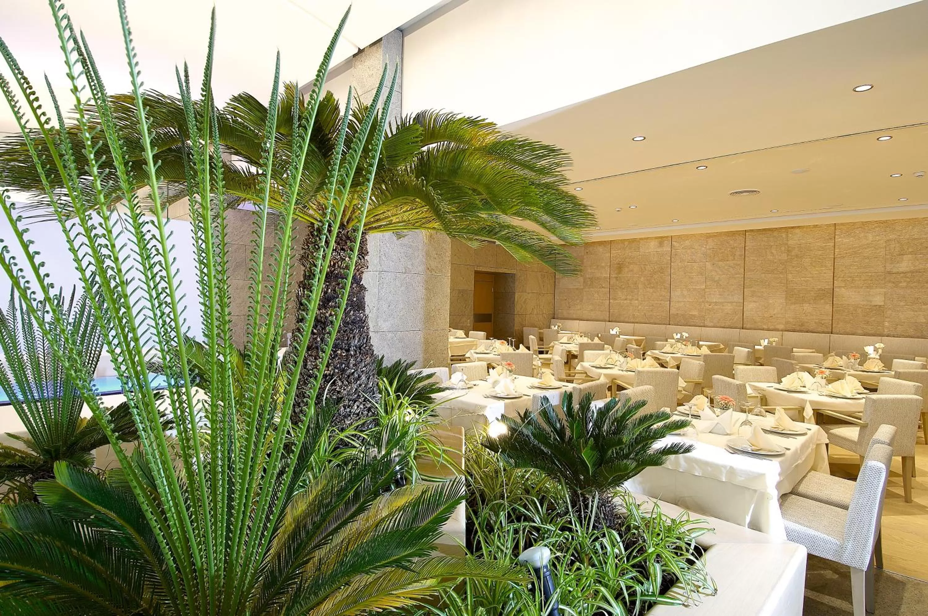 Food close-up in Ontur Izmir Otel