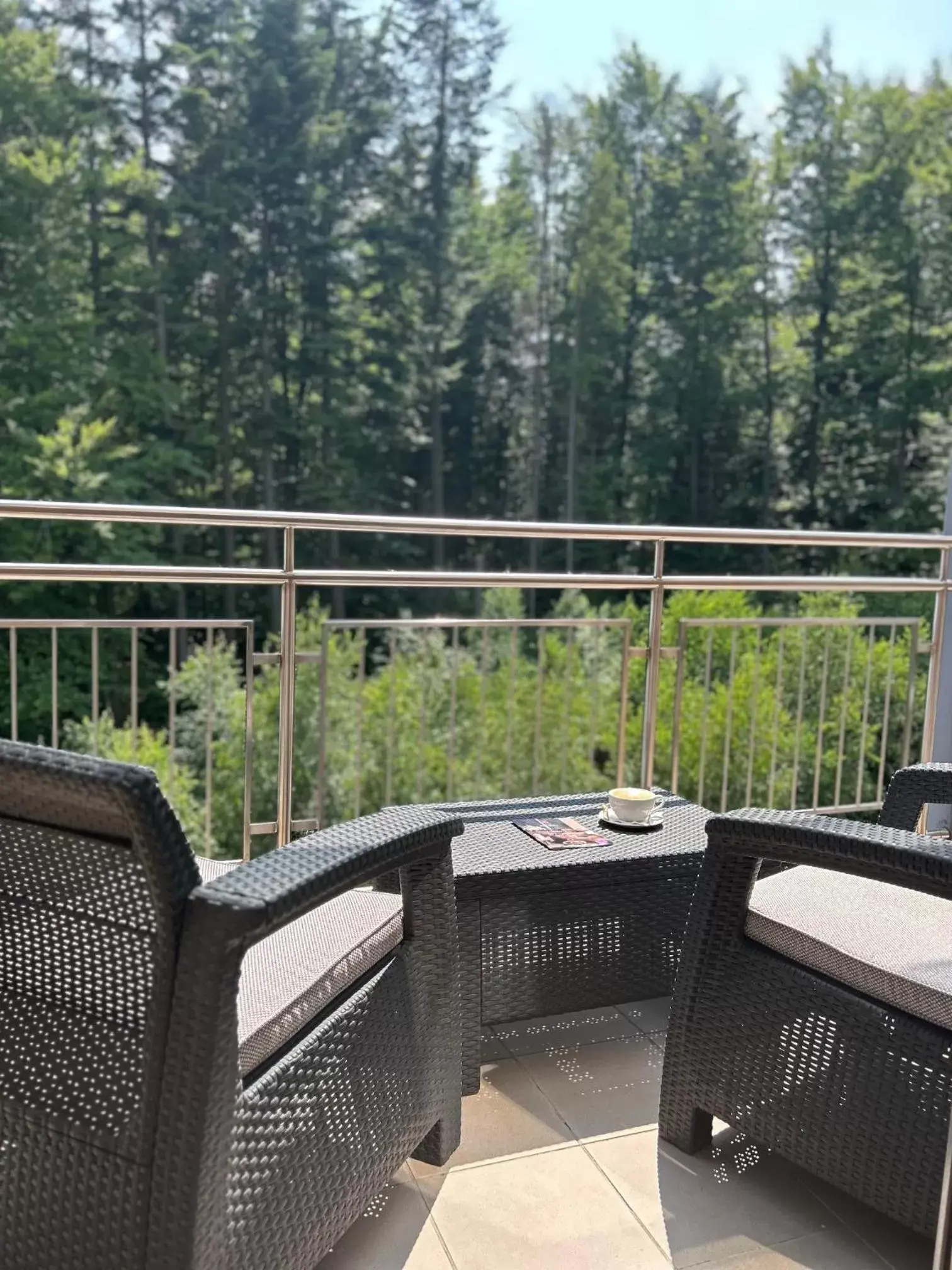 Double or Twin Room in Hotel Krynica Conference & SPA Double or Twin Room in Hotel Krynica Conference & SPA