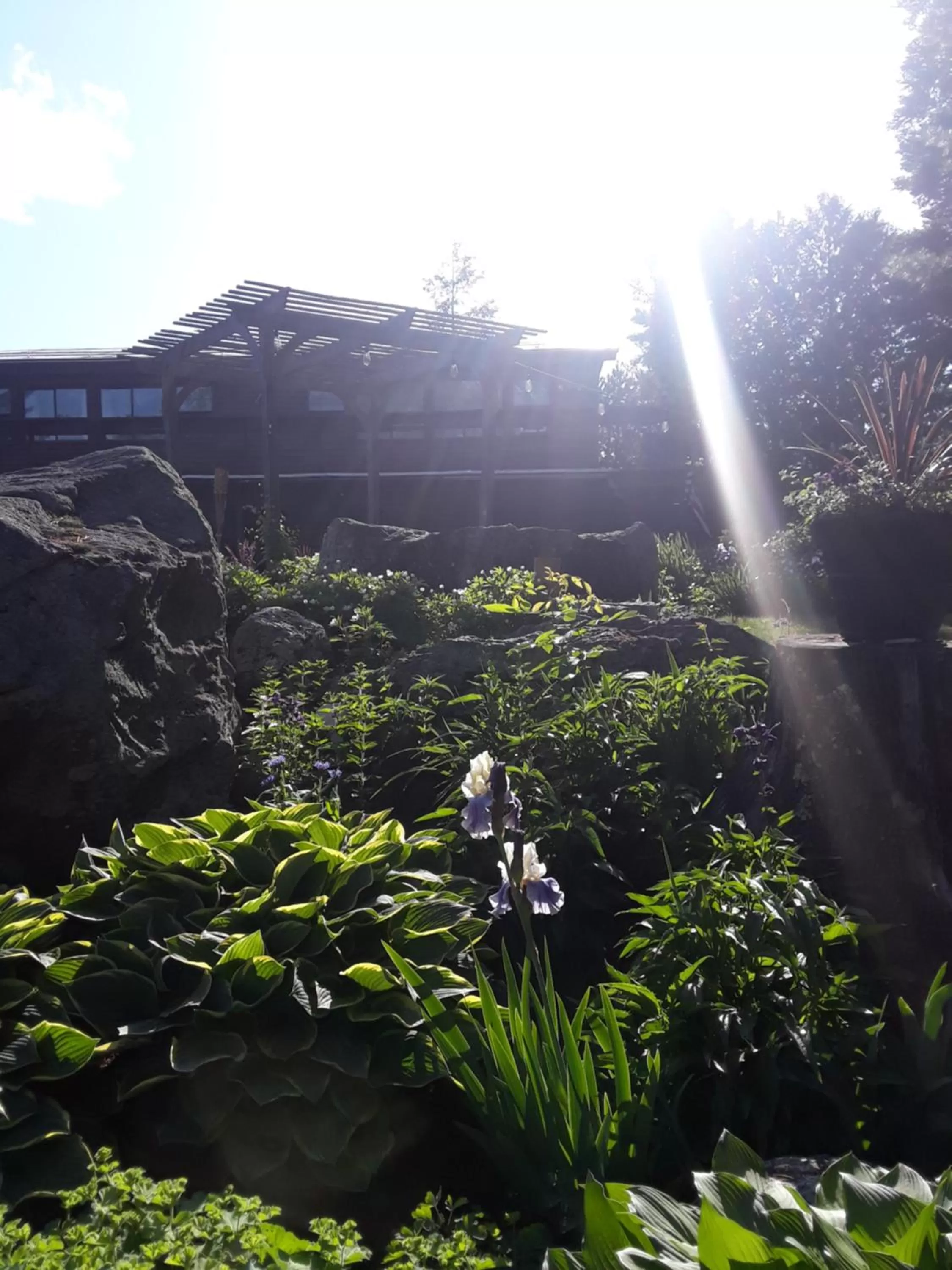 Natural landscape in Summit Lodge