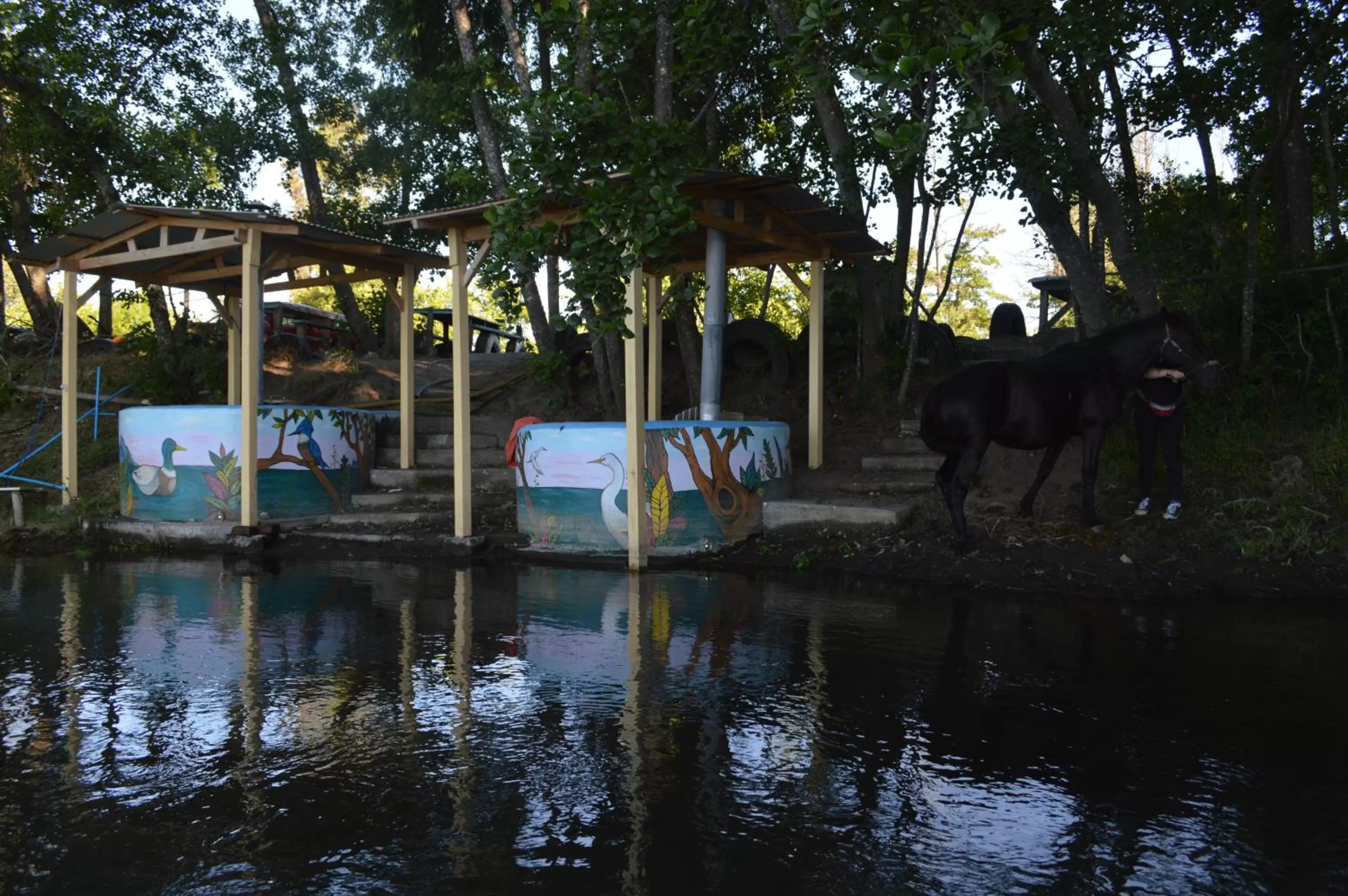 Coyunche Cabañas y Camping Laja & San Rosendo