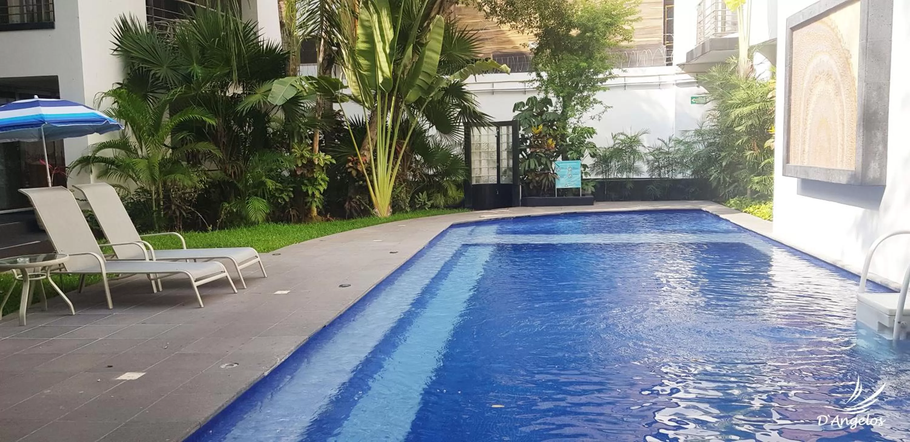 Swimming Pool in Dangelos Hotel on Fifth Avenue