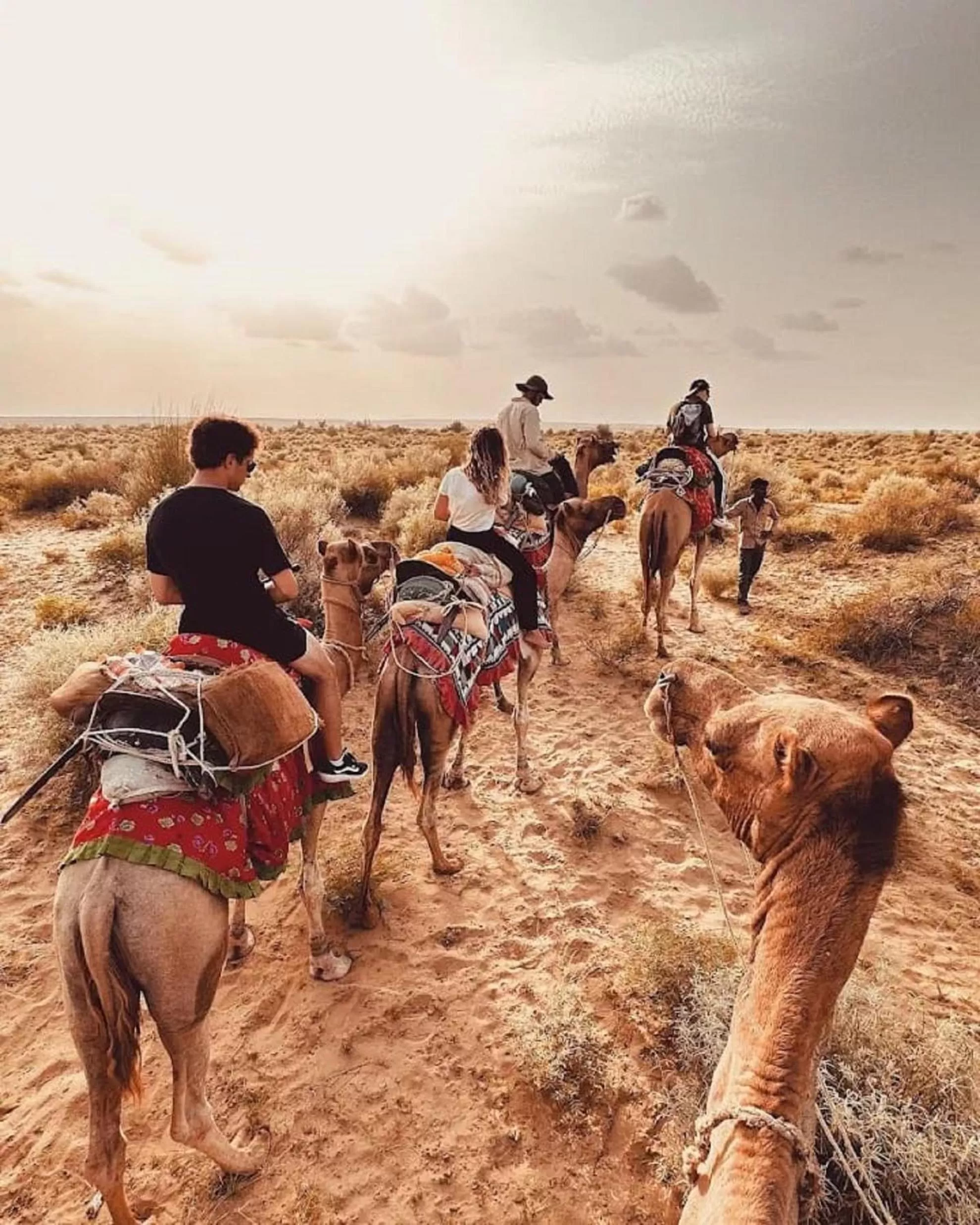 Sunrise in Hotel The Surya Jaisalmer