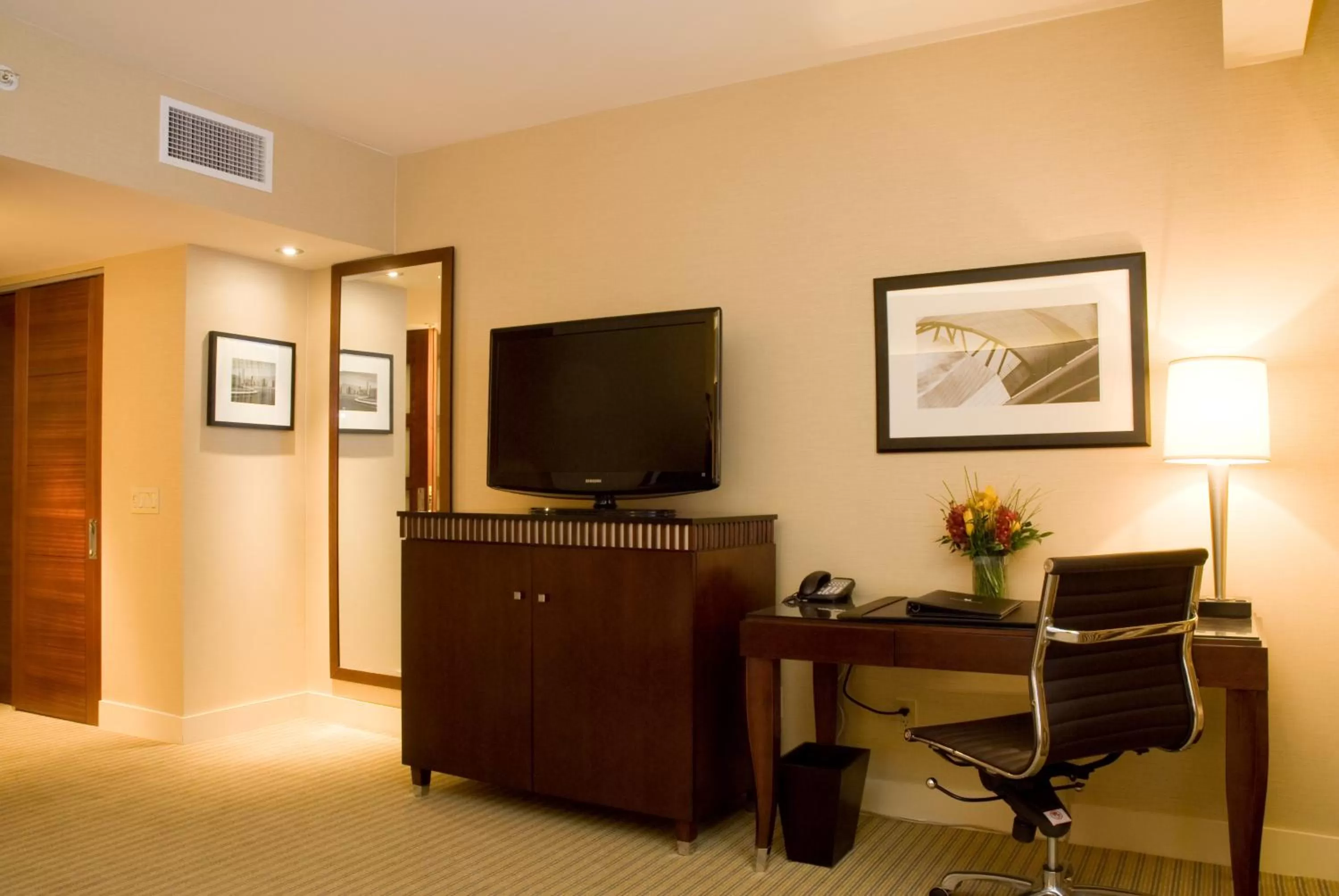 TV and multimedia in Millennium Knickerbocker Chicago