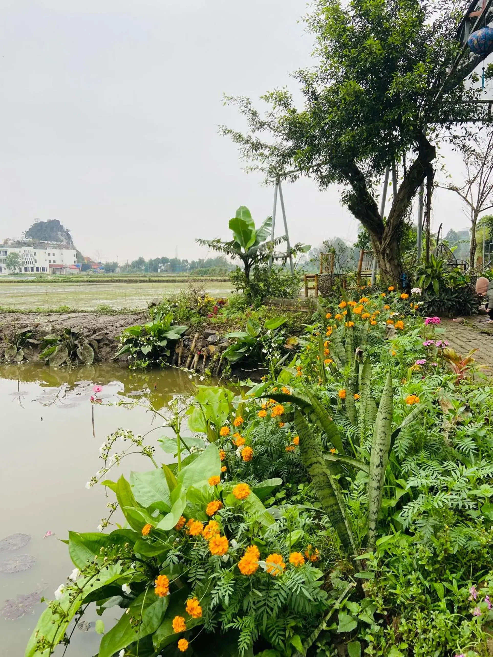 Double Room with Mountain View in Tam Coc Mountain View Homestay Double Room with Mountain View in Tam Coc Mountain View Homestay