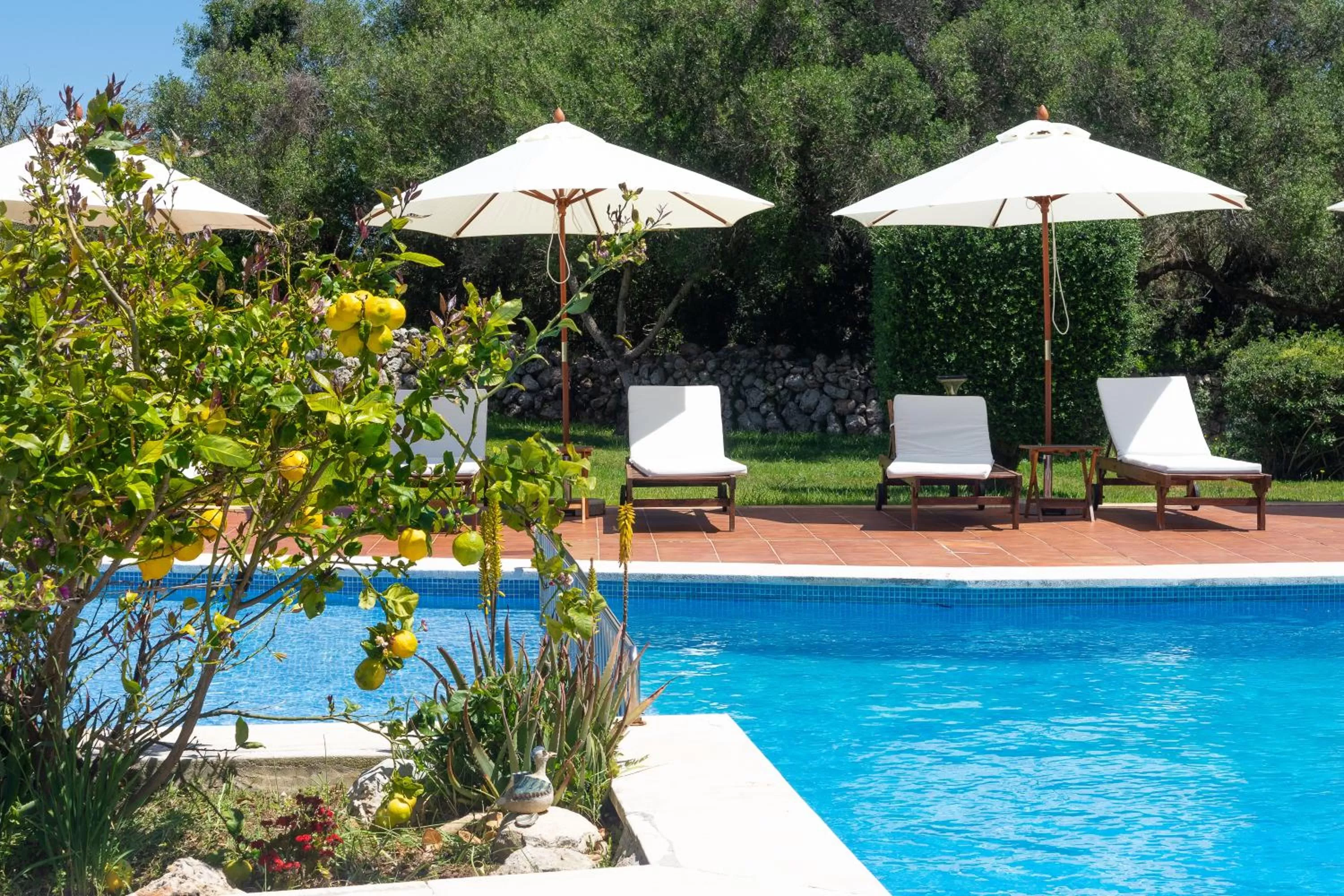 Swimming Pool in Agroturismo Binissafullet Vell