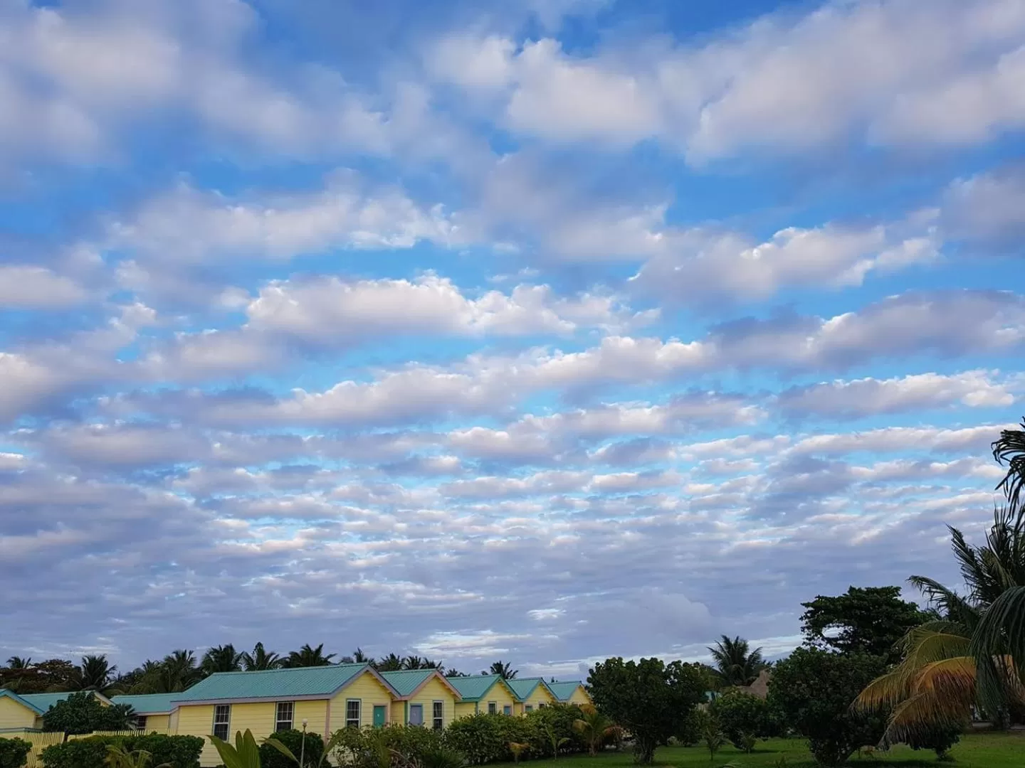 Natural landscape in Royal Caribbean Resort