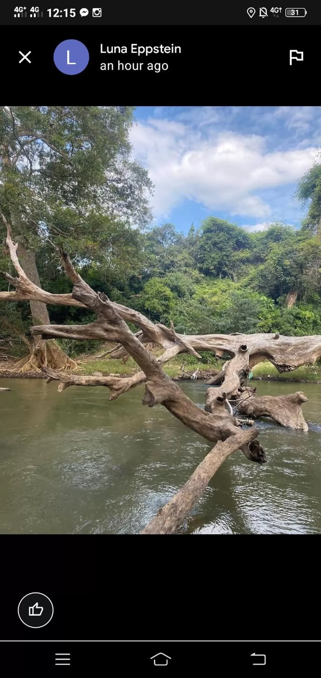 Jungle river humbhaha hostel