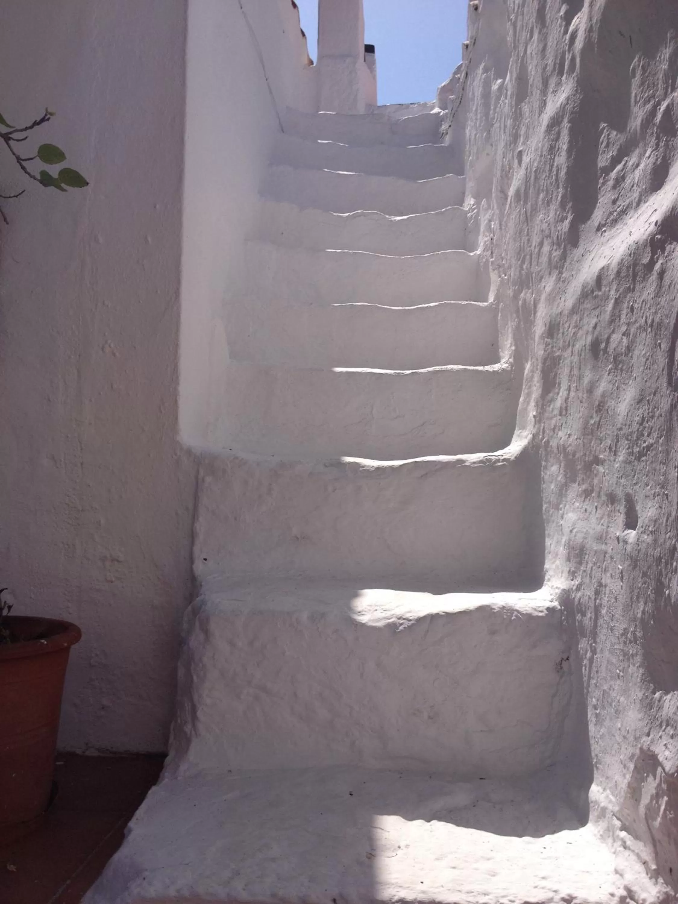 Property building in Agroturismo Binissafullet Vell