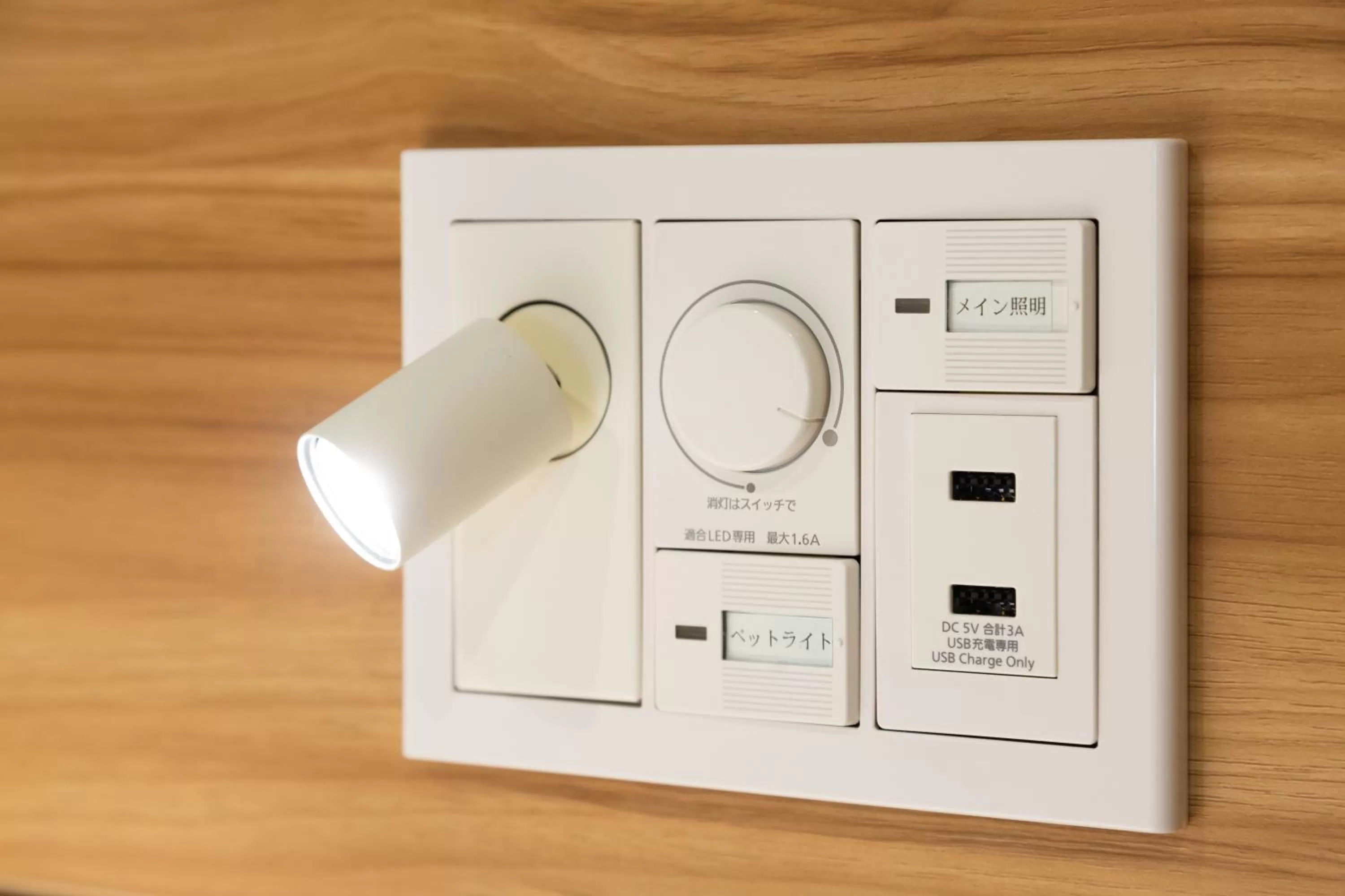 Decorative detail in fico HIJI