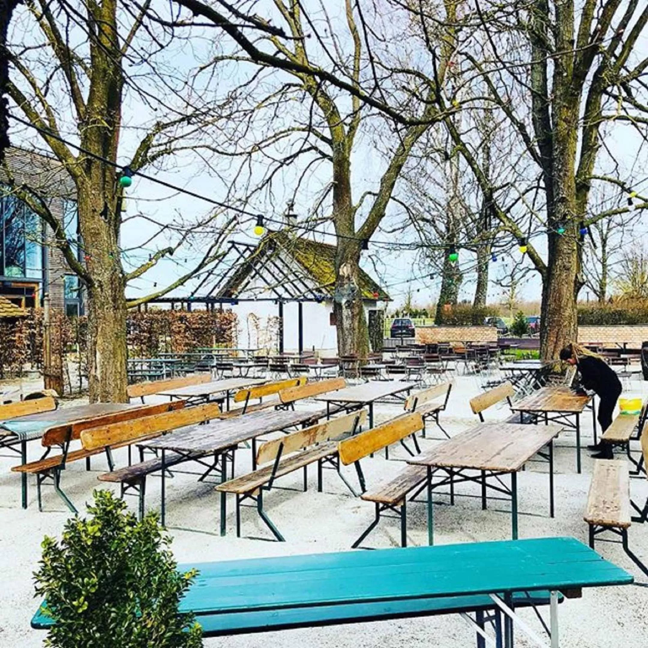 Restaurant/places to eat, Swimming Pool in Hotel Waldvogel