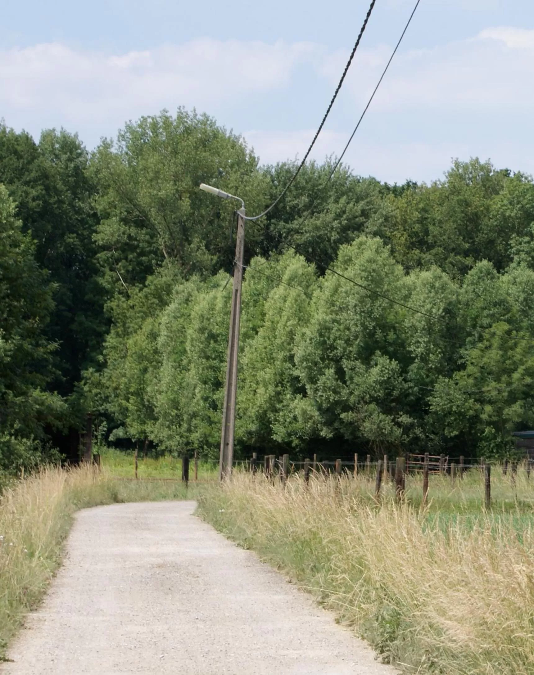 Neighbourhood, Natural Landscape in B&B Silentium