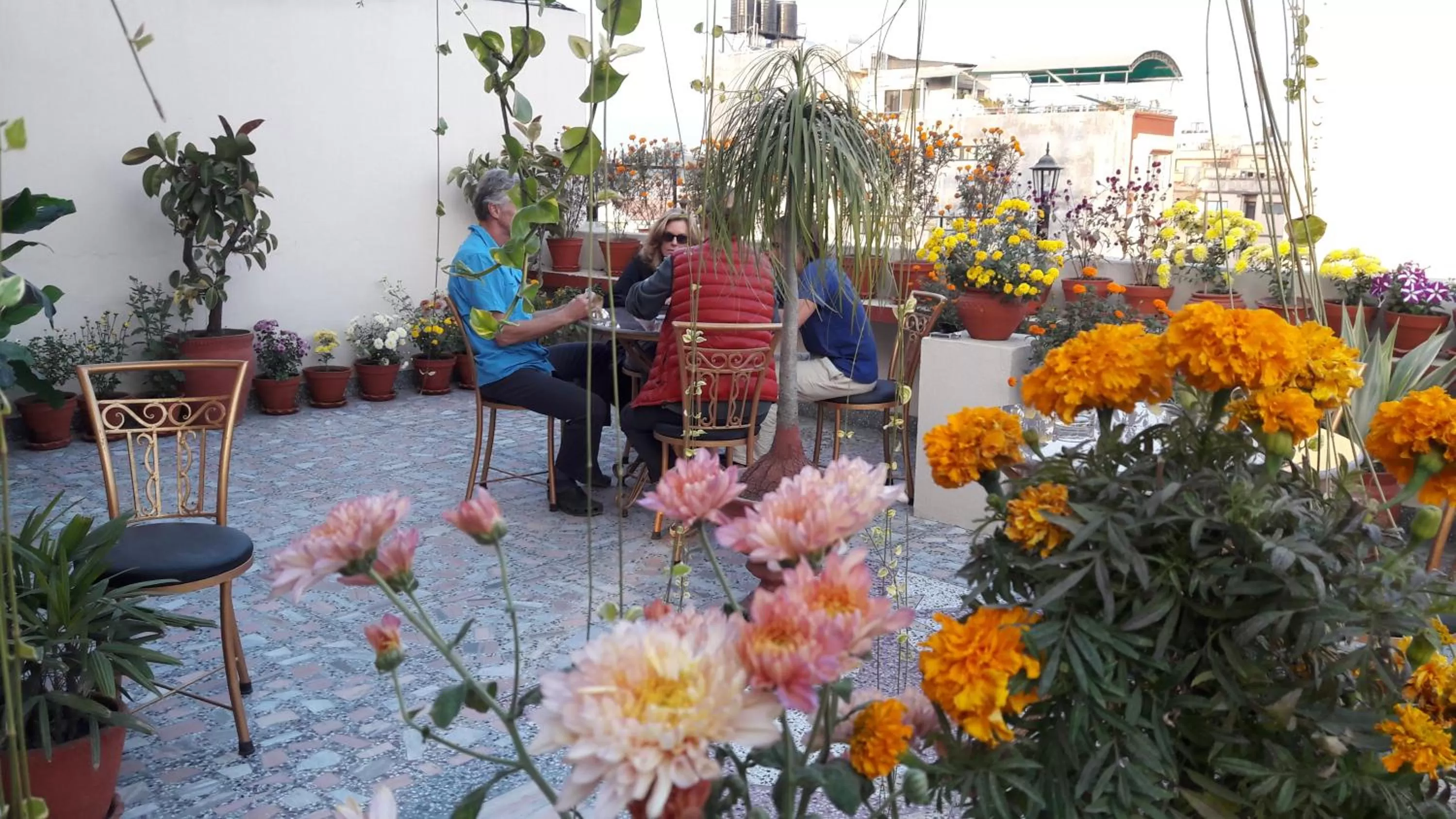 Garden in Kathmandu Grand Hotel