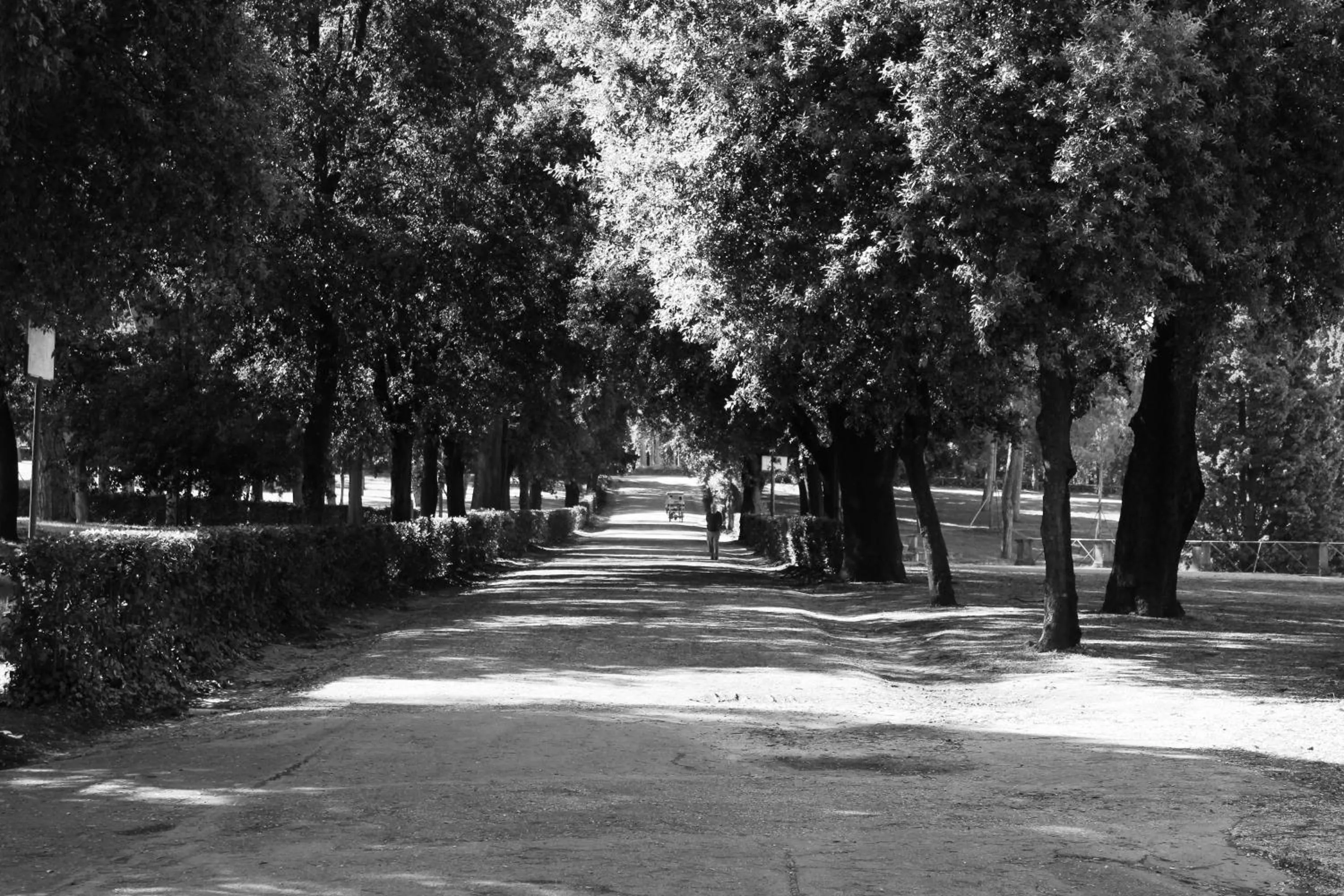 Area and facilities in Hotel Priscilla